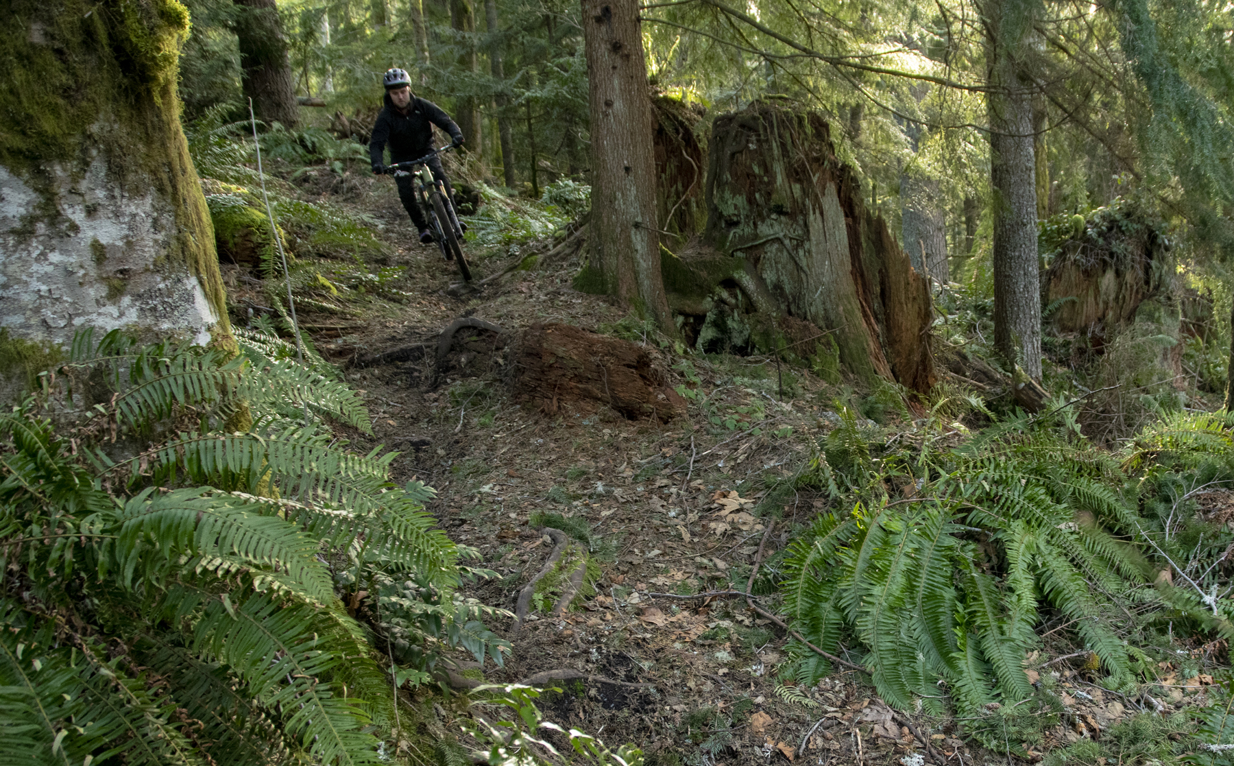 David Golay and Zack Henderson review the Canyon Spectral 125 for Blister