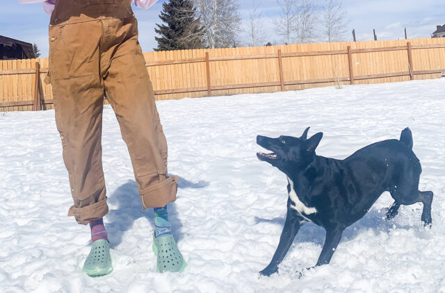 Cy Whitling reviews the Kane Revive shoe for Blister