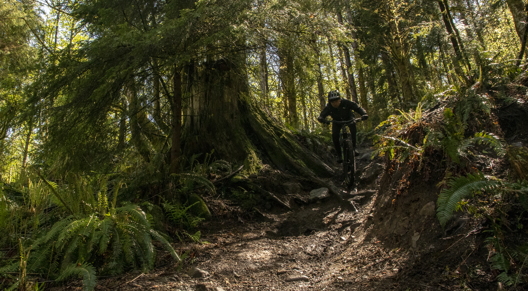 David Golay and Dylan Wood review the Santa Cruz Megatower for Blister