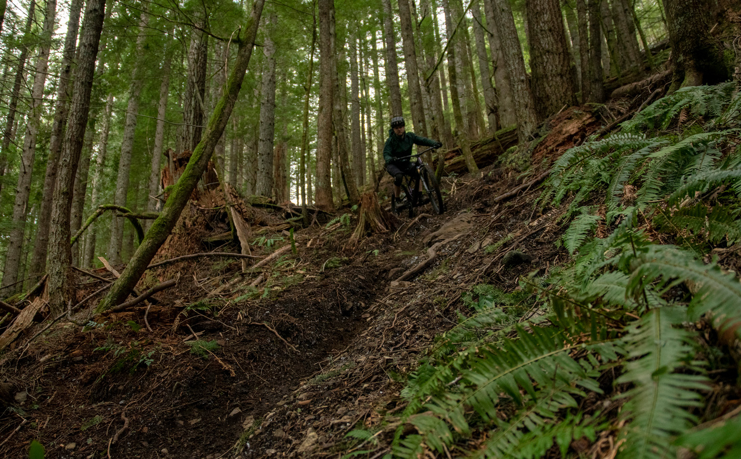 David Golay reviews the SCOR 4060 LT mountain bike for Blister