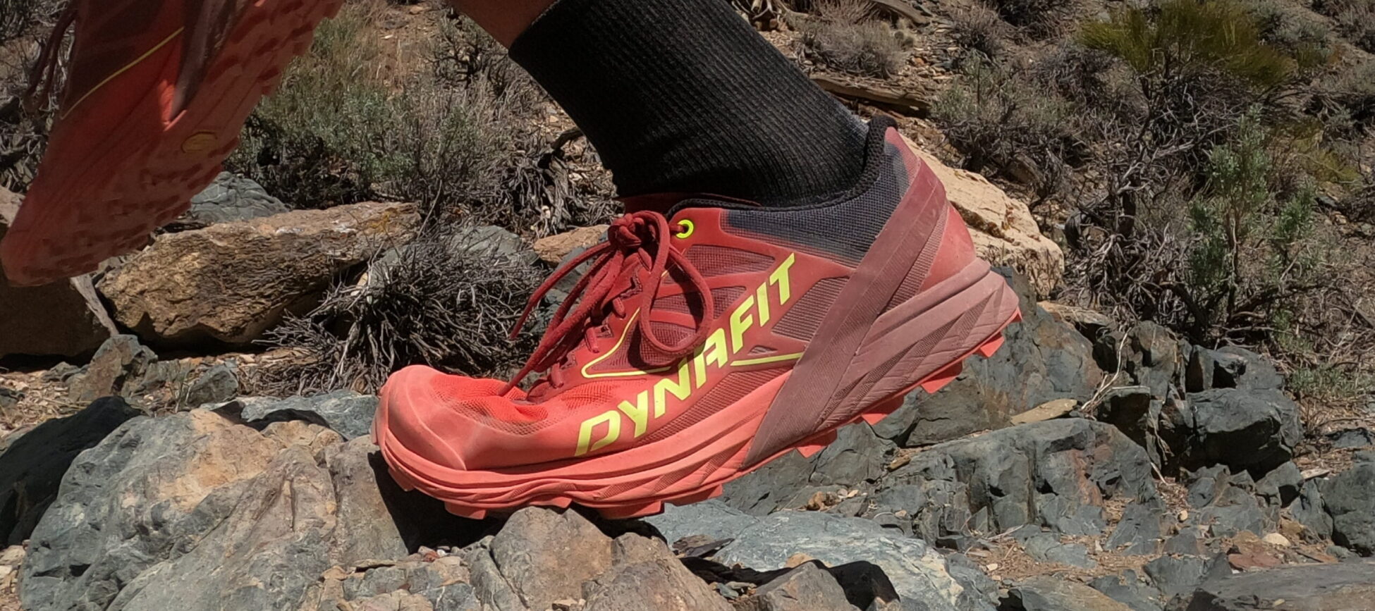 Asics alpine xt trail deals running shoes review