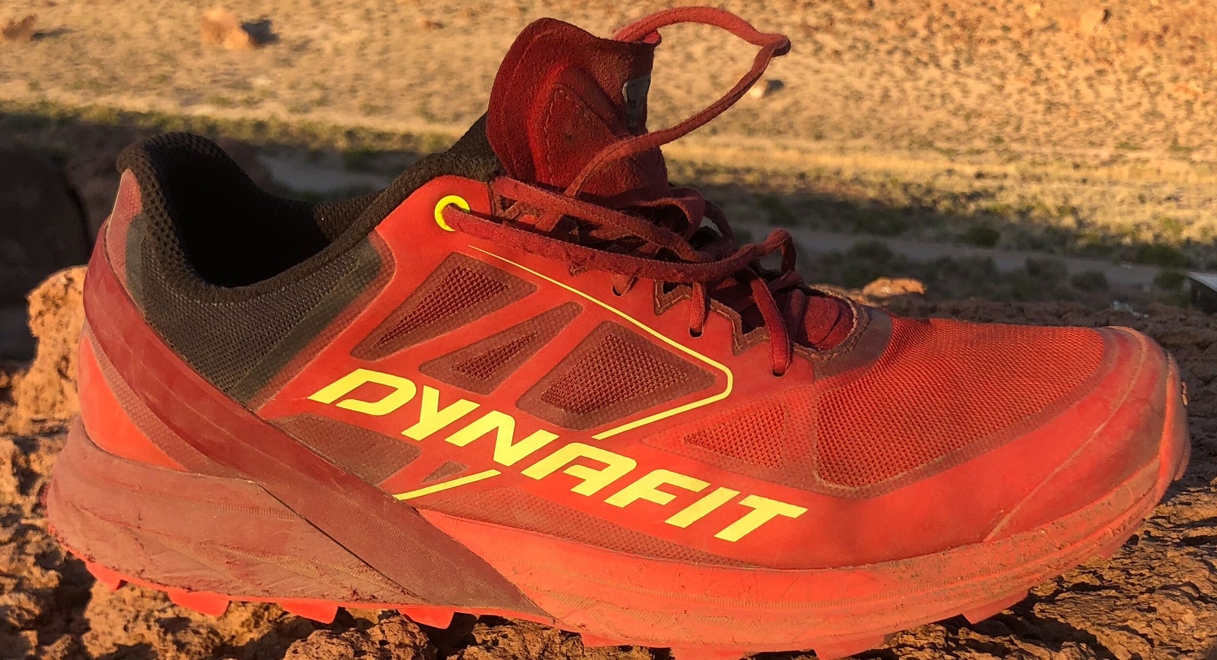 Dynafit Alpine, BLISTER