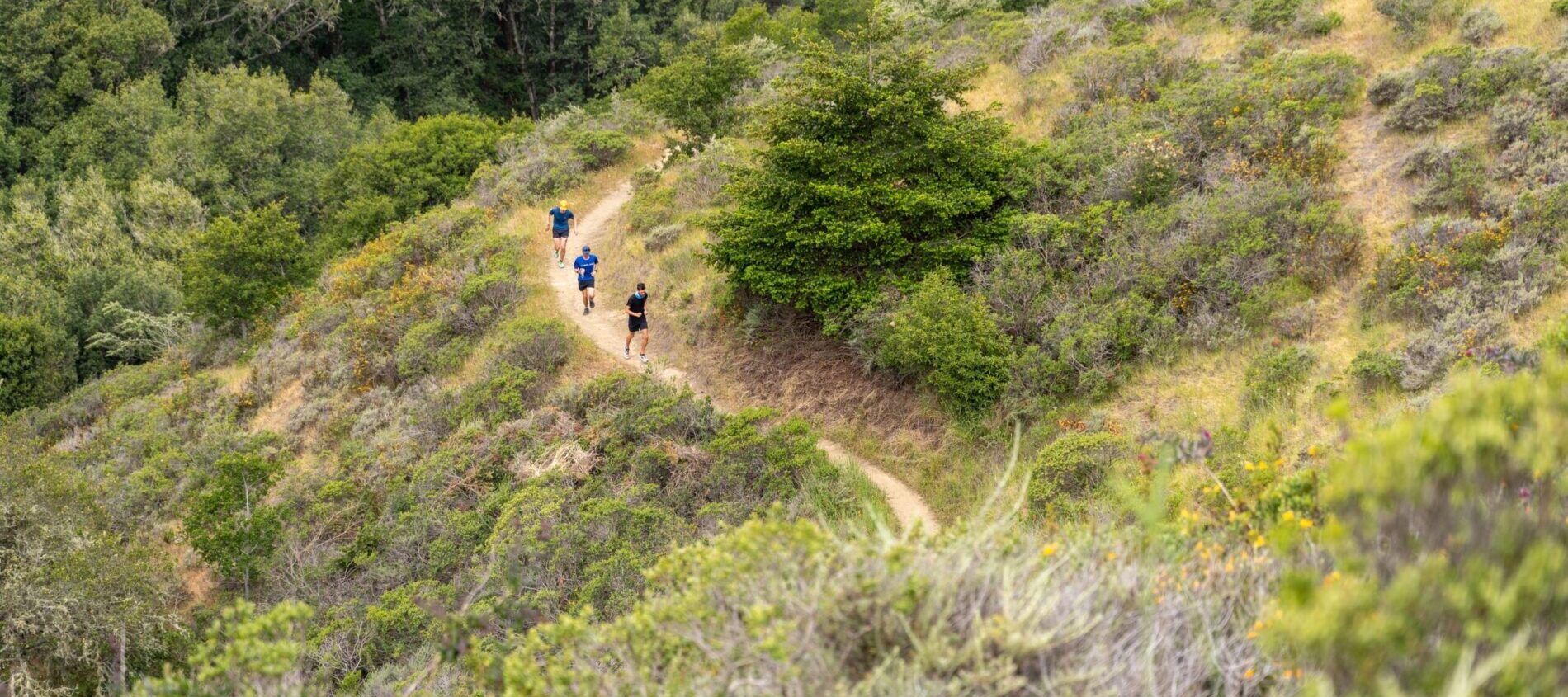 What is Trail Running Stock