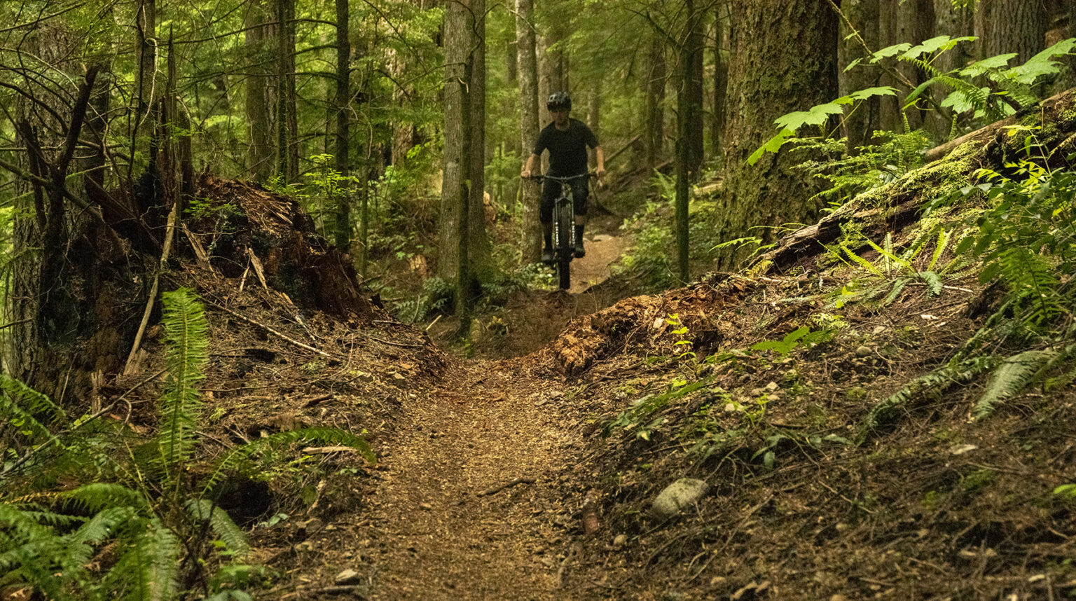 Sage Flow Motion Blister