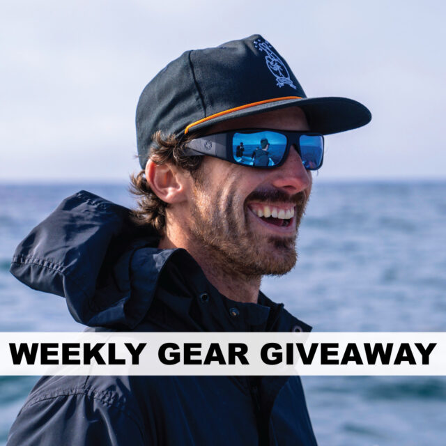 Win SPY Sunglasses, BLISTER