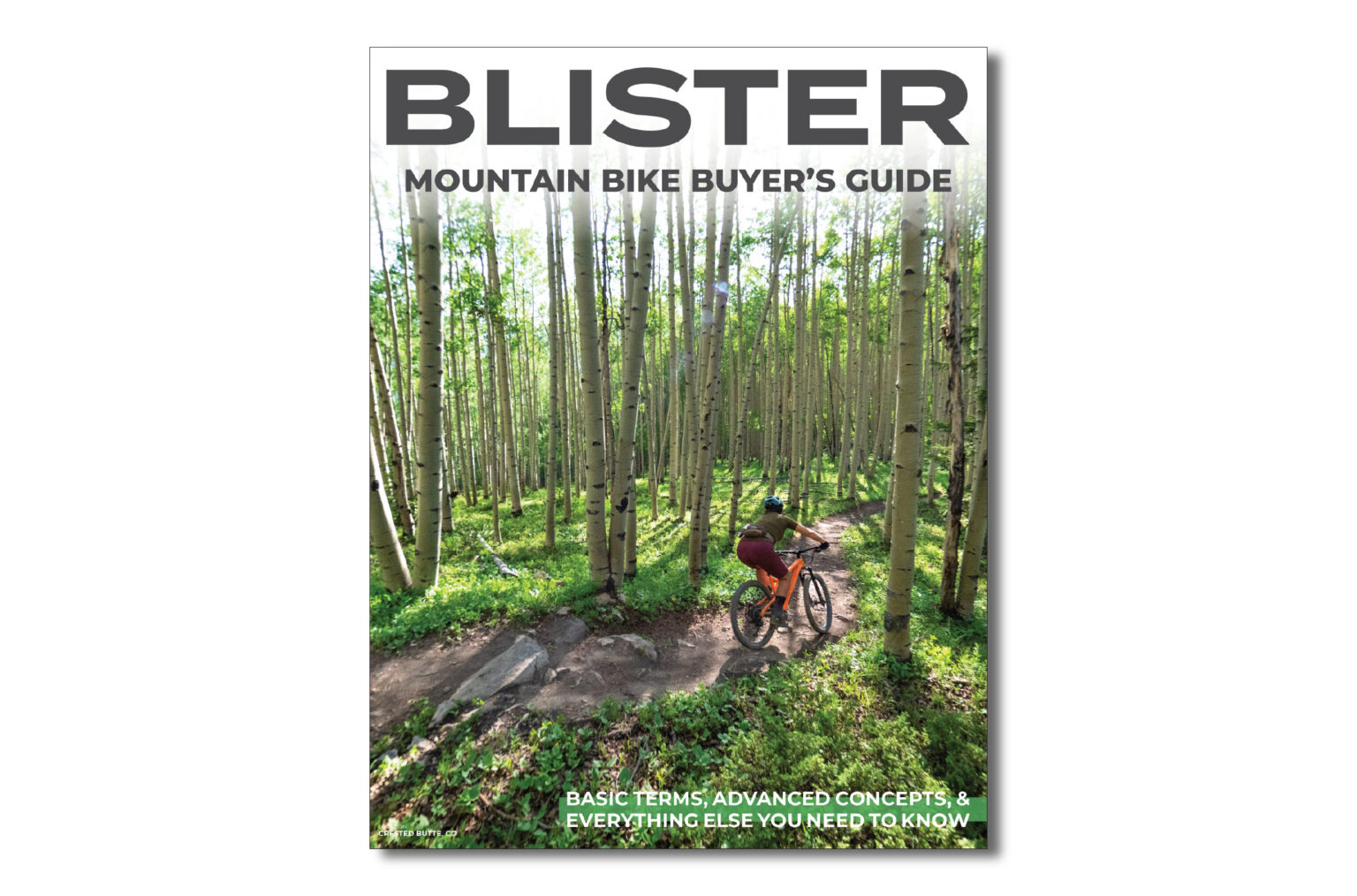BLISTER Mountain Bike Buyer's Guide How to Buy a Mountain Bike