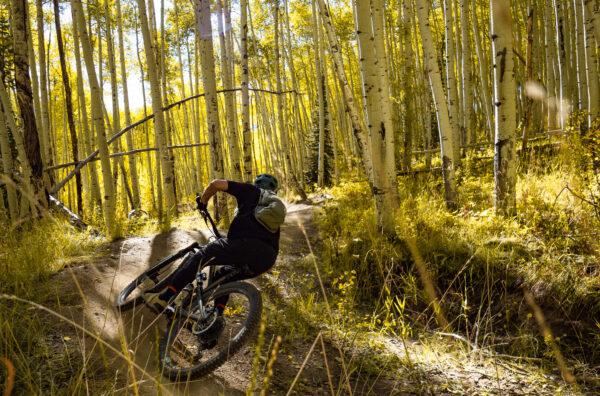 Dylan Wood and Eric Freson Review the Revel Rail 29 for Blister