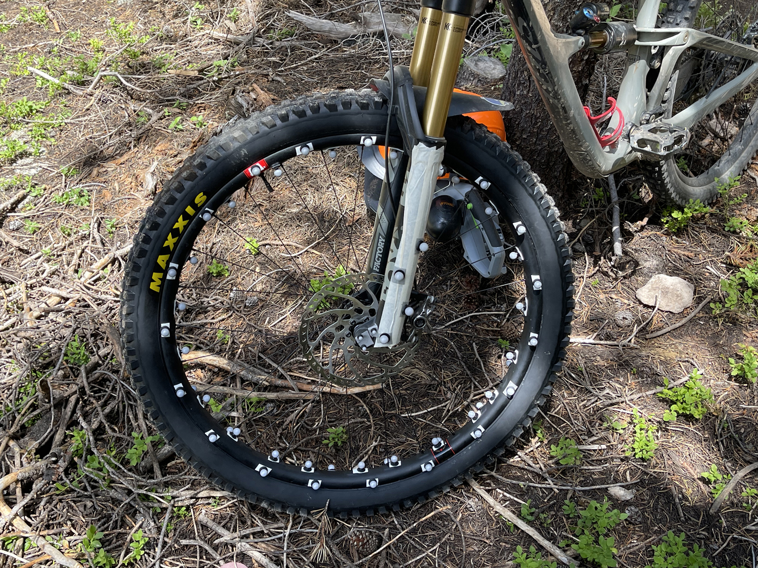 An Update on Blister Labs’ Mountain Bike Wheel Testing