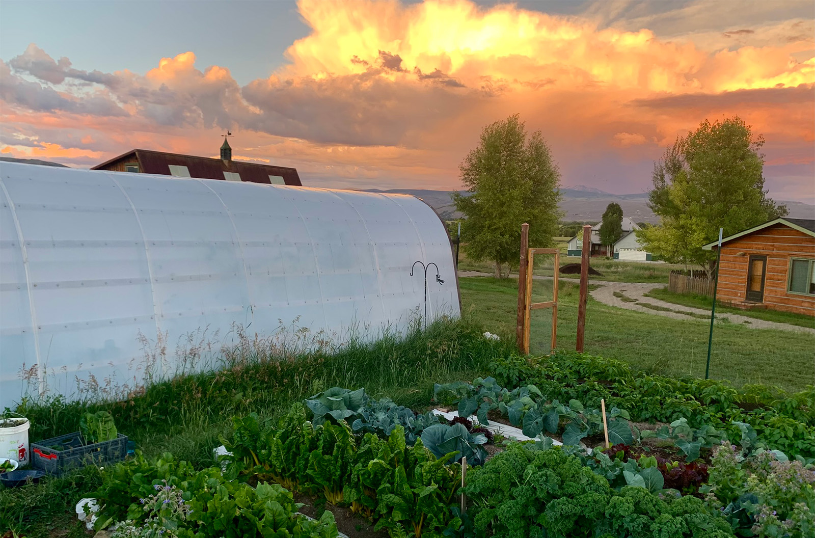 On the Blister Podcast, Jonathan and Kara respond to a listener’s question about what local food is and how you can support it; how to grow food in cold places; chicken tractors and therapy chickens; and how a robust local food system keeps our mountain towns healthier.