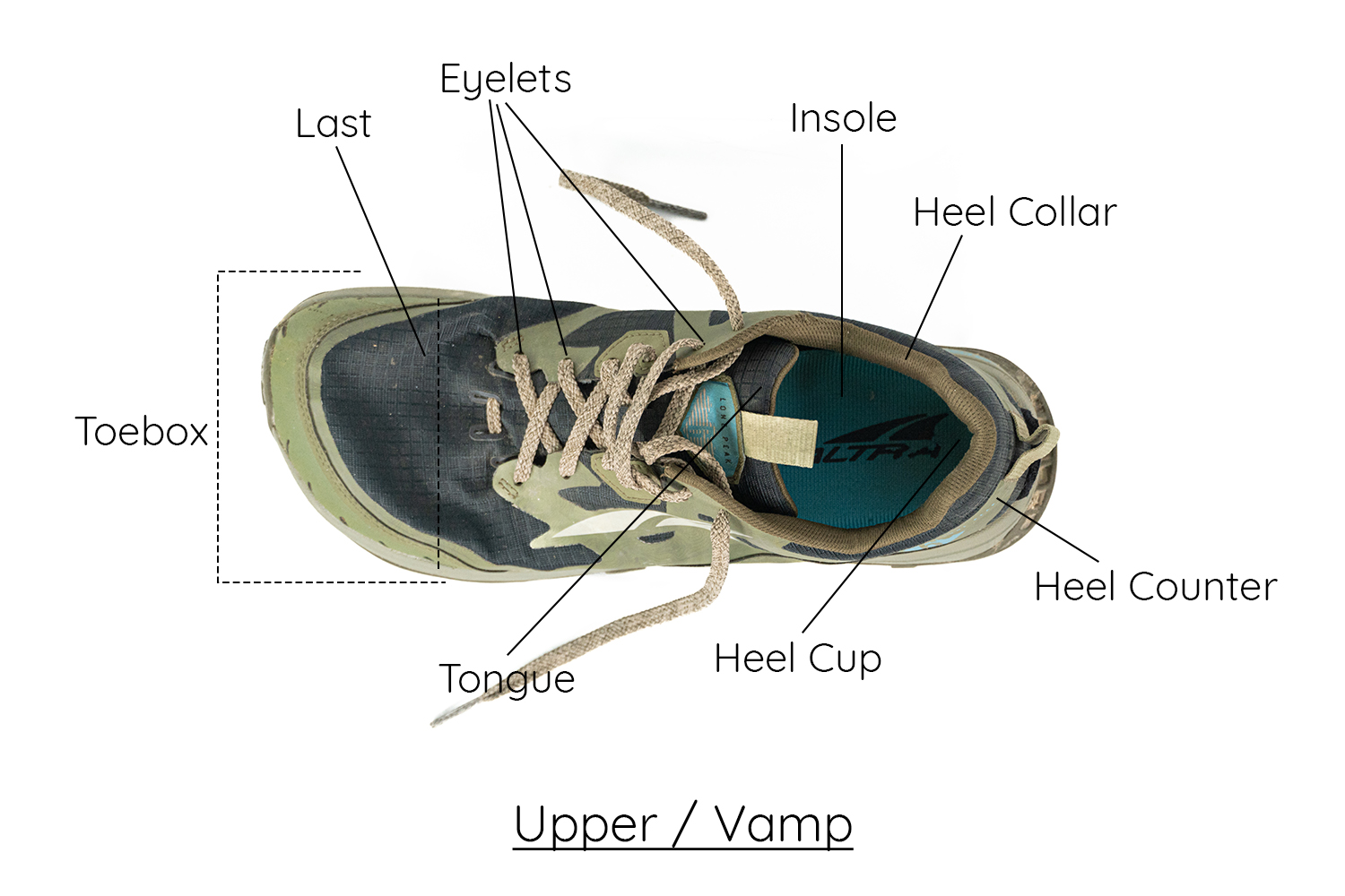 Anatomy of a Running Shoe: Sockliner, Heel Counter and More