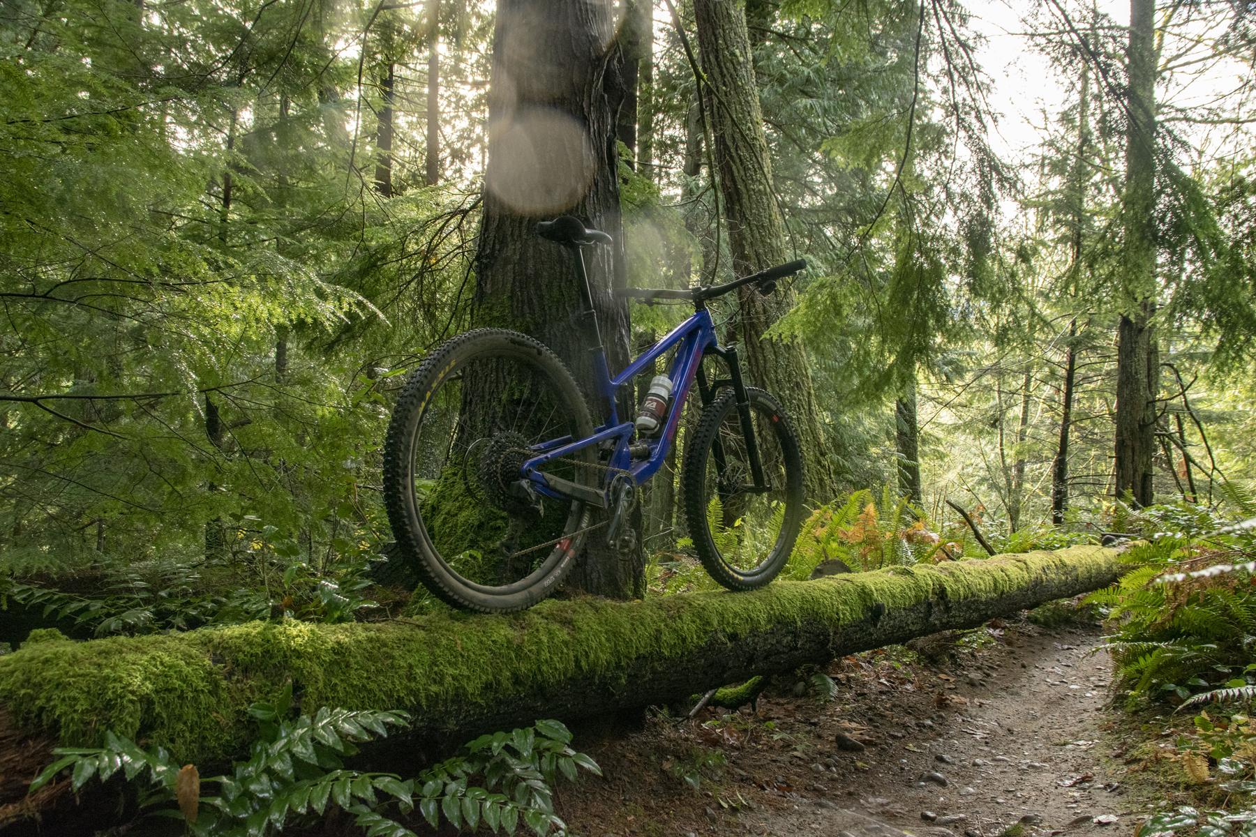 New Santa Cruz Nomad CC X01 AXS RSV 2023 first ride review - Is this the  end of freeriding?