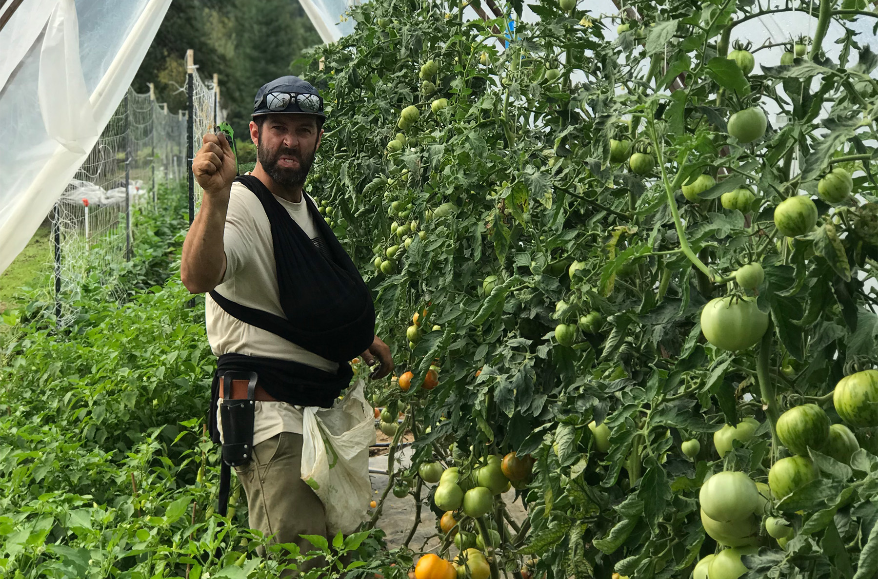 Why did one of the best freeride skiers of the past 20 years become a farmer? On our Blister Podcast, we talk to Chris Rubens about starting First Light Farm with his partner, Jesse, in Revelstoke; the parallels between skiing & farming; and why Chris finds farming to be so meaningful.