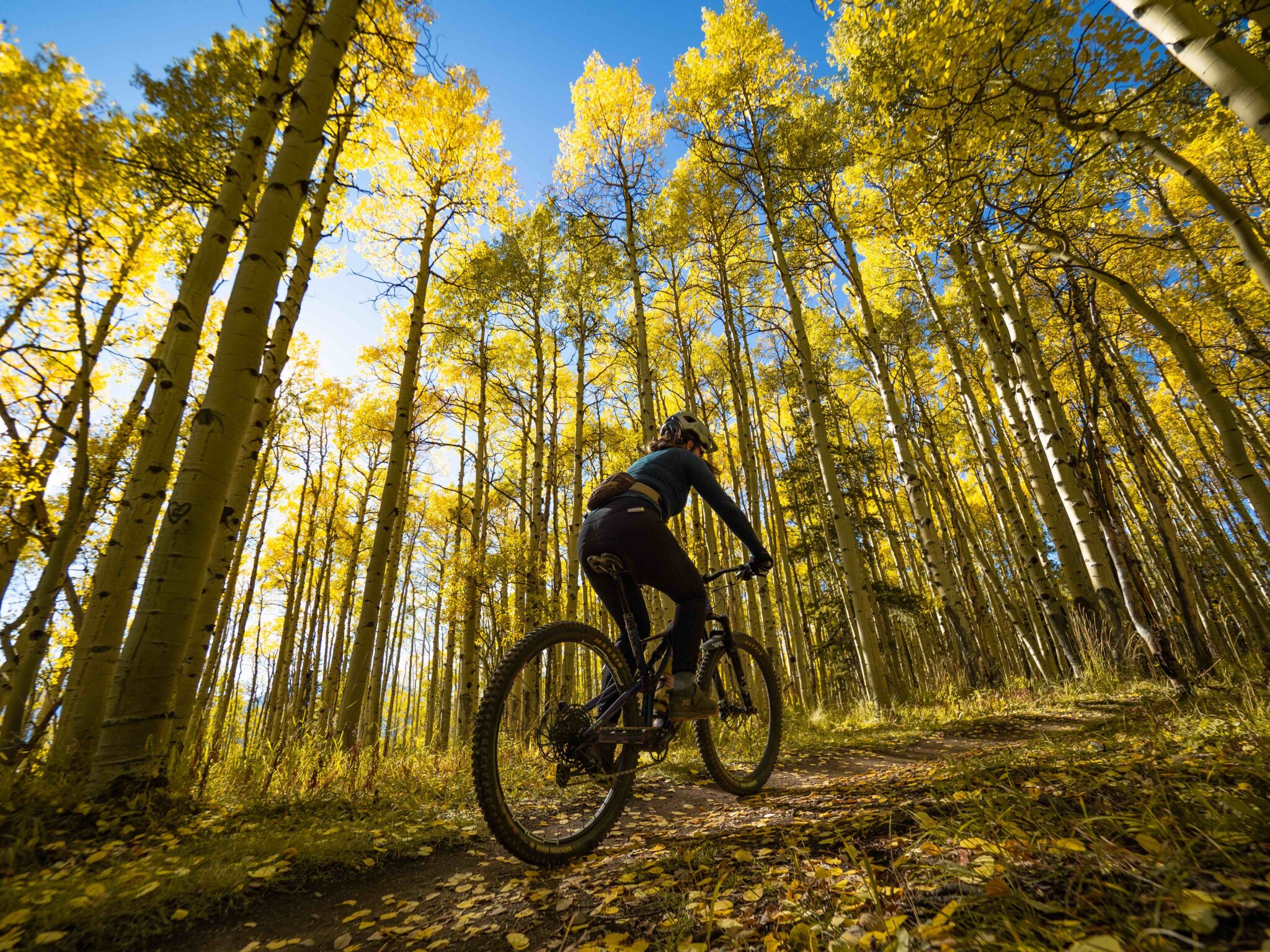 Ride Concepts Wildcat Shoe Blister