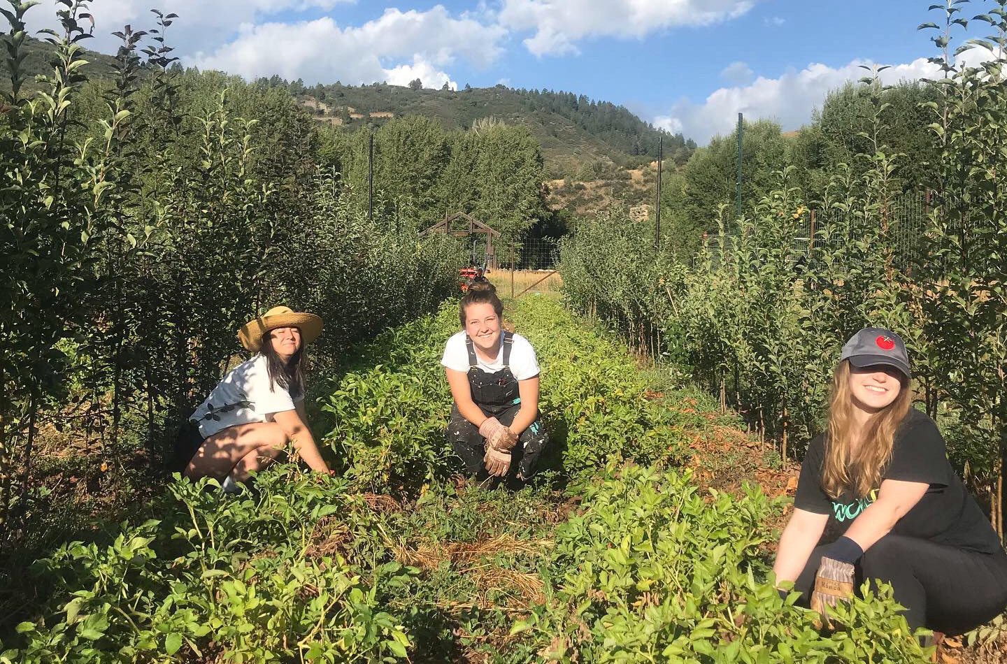 For the final installment of Moutain Towns & Local Food Systems on the Blister Podcast, Rachel Landis of the Good Food Collective in Durango, CO, discusses what it means to build connectivity, bring people together, and be a facilitator of local food for a regional food hub.