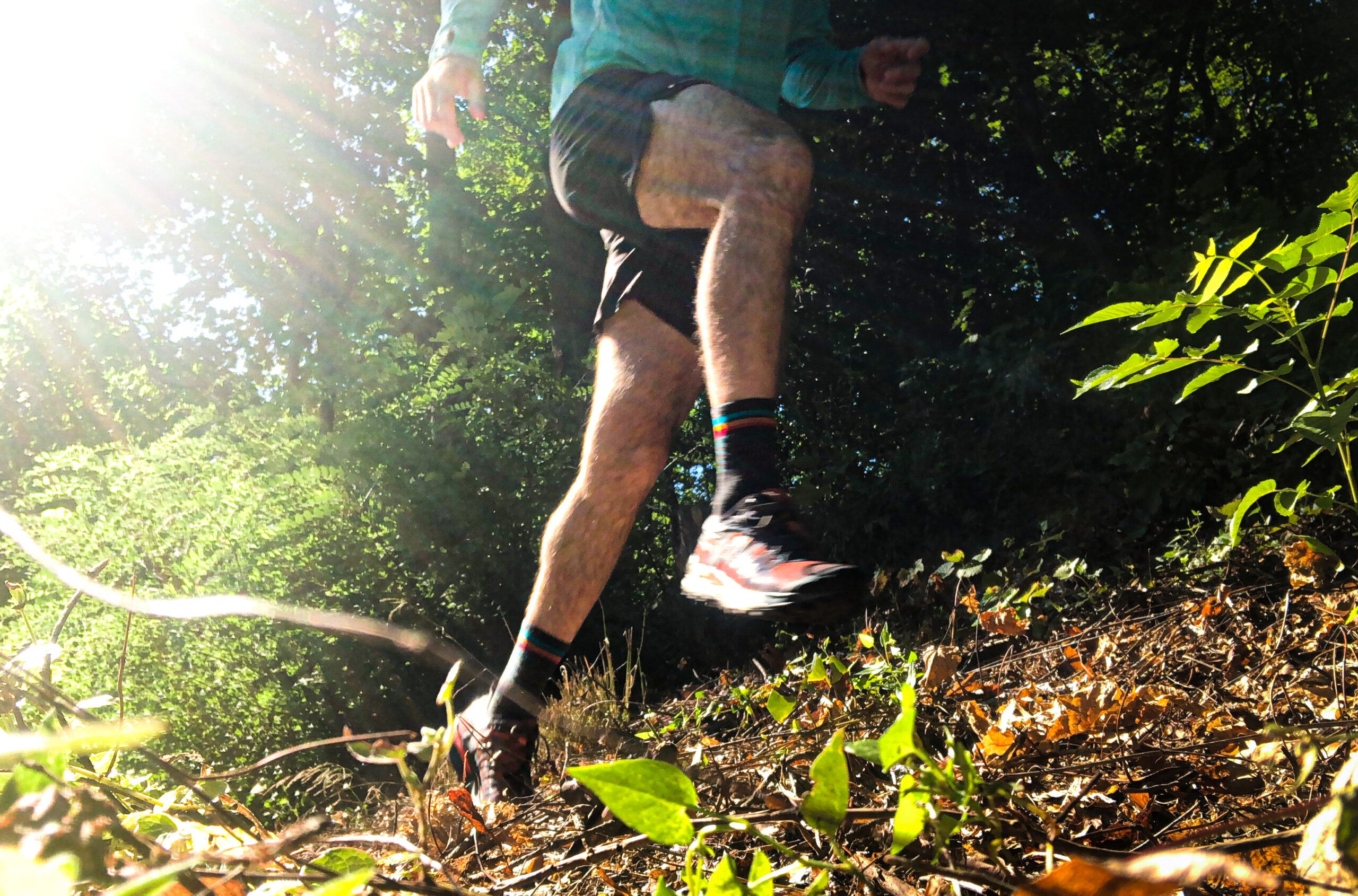 Adidas Terrex Agravic Trail Running Leggings - The Sports Room