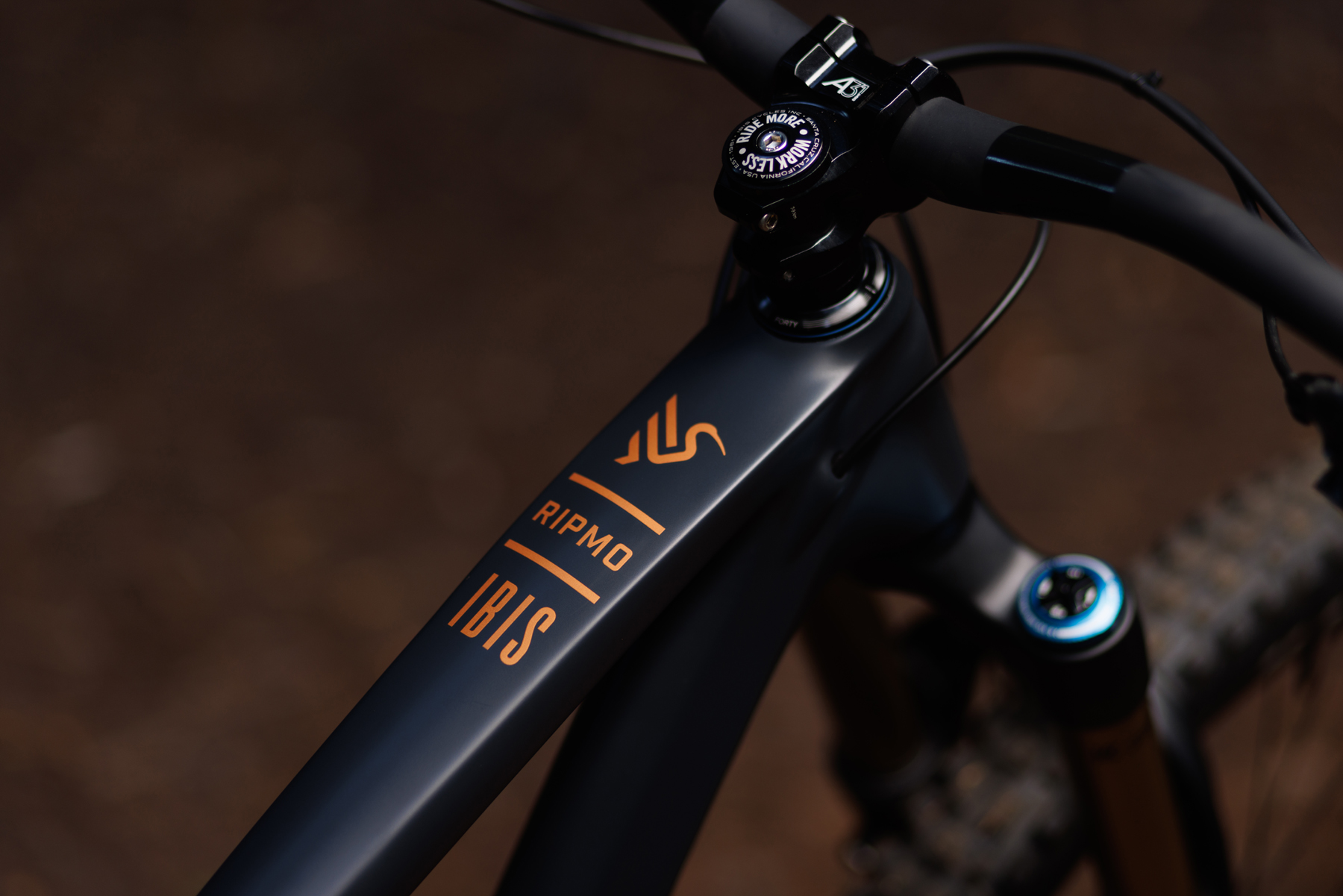 Ibis store cycles ripmo