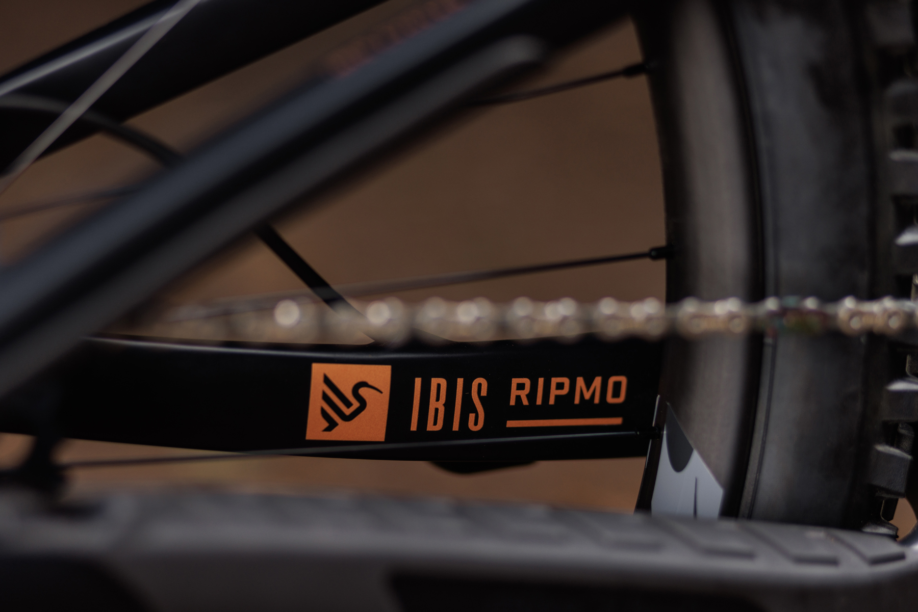 David Golay reviews the Ibis Ripmo V2S for Blister