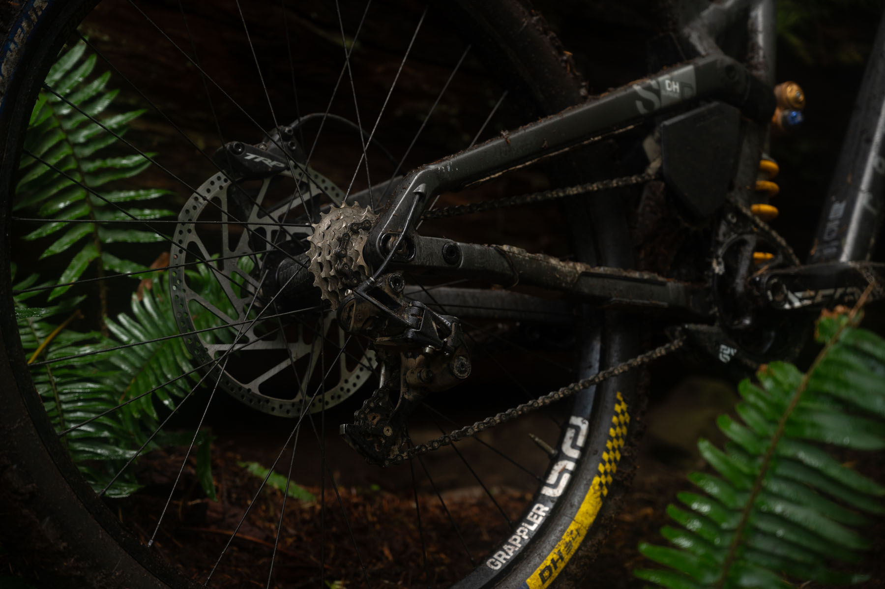 David Golay and Zack Henderson review the Commencal Supreme V5 for Blister