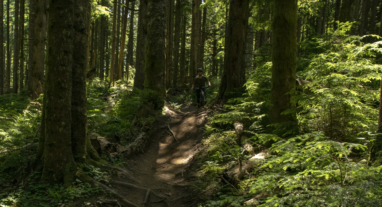 David Golay reviews the Reynolds Blacklabel 329 Trail Pro Wheels for Blister