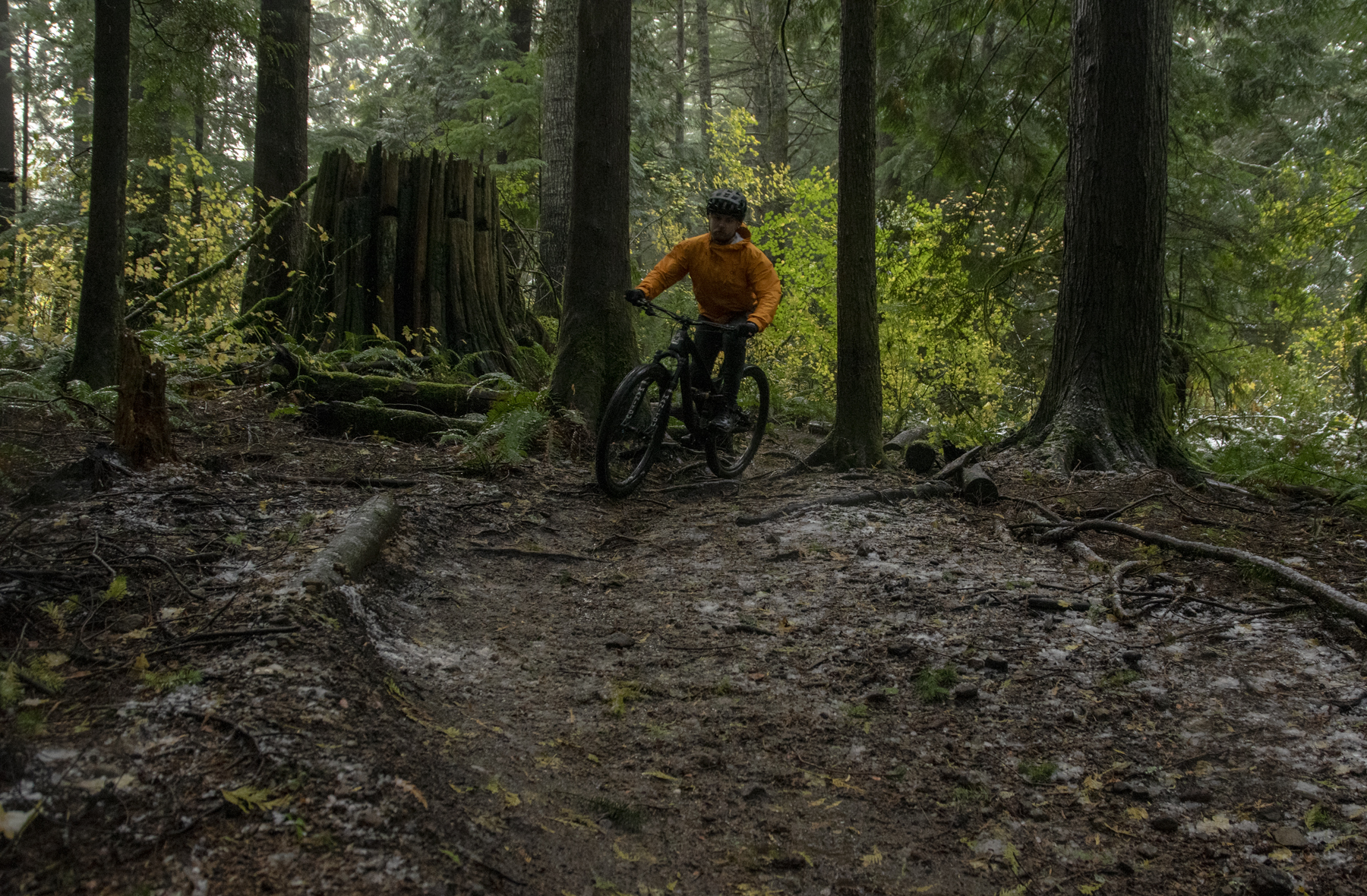 David Golay reviews the Reynolds Blacklabel 329 Trail Pro Wheels for Blister