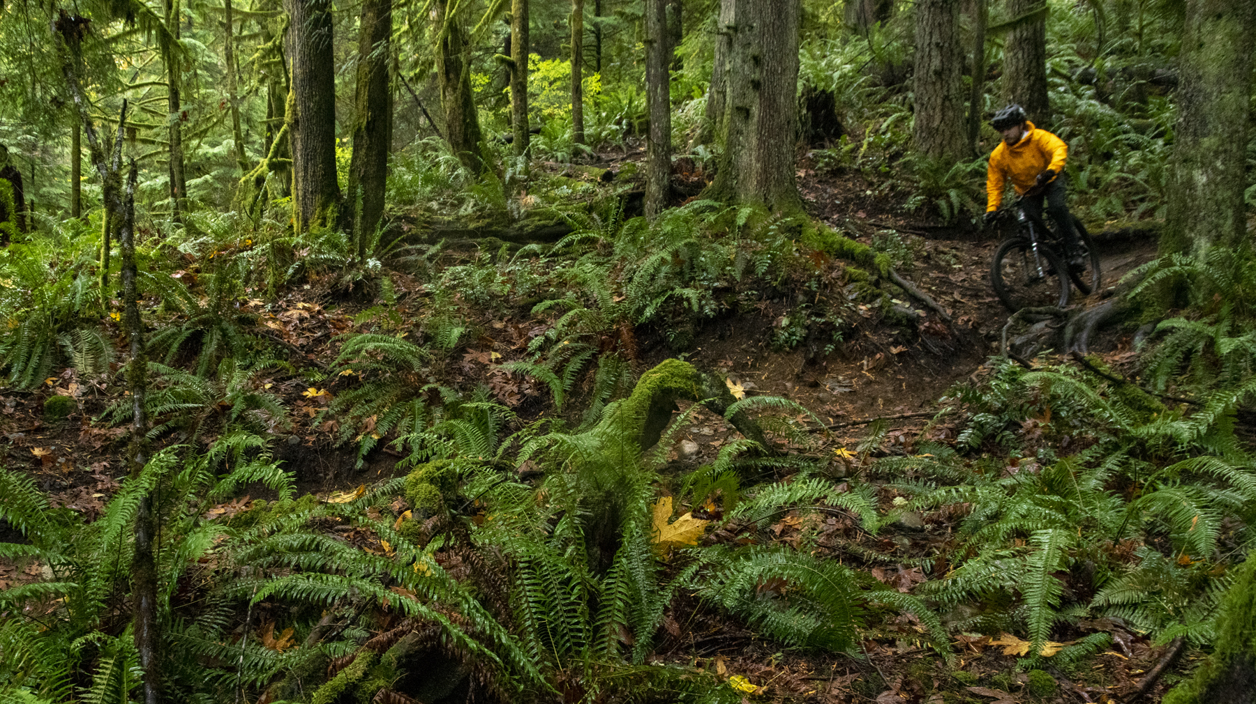 David Golay reviews the Reynolds Blacklabel 329 Trail Pro Wheels for Blister