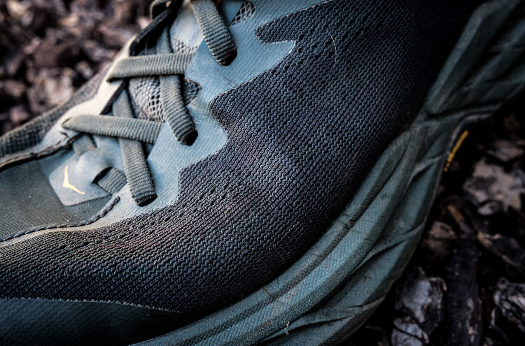 Hoka Speedgoat 5