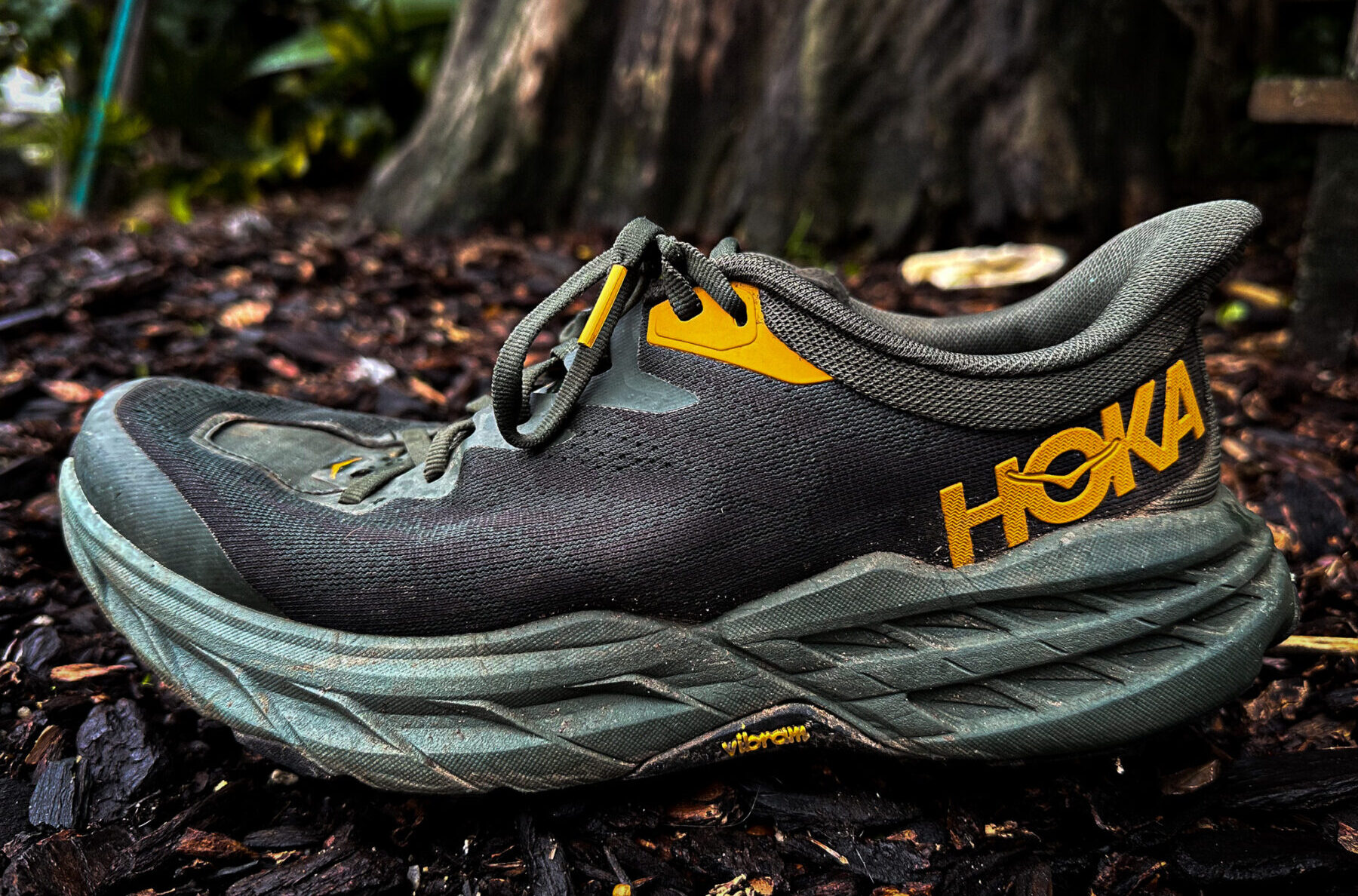 Hoka Speedgoat 5