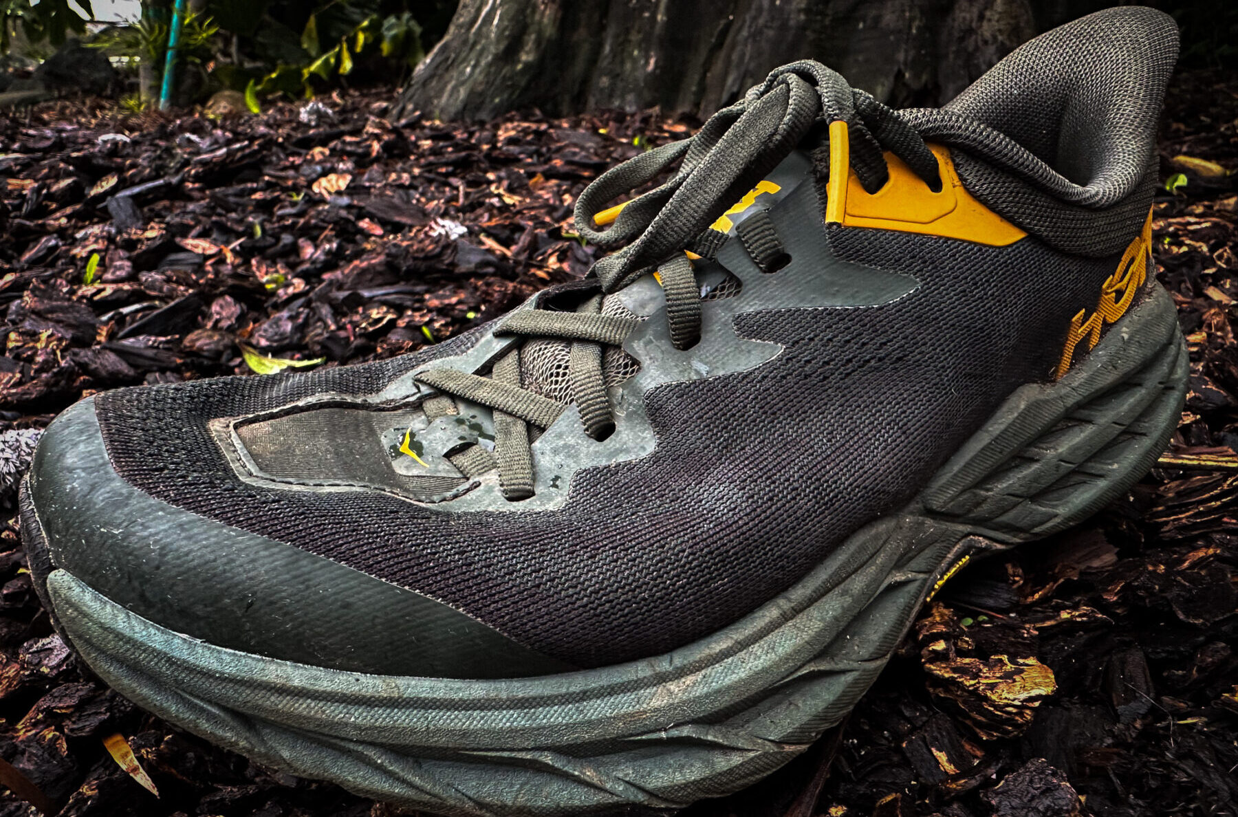 Hoka Speedgoat 5, BLISTER