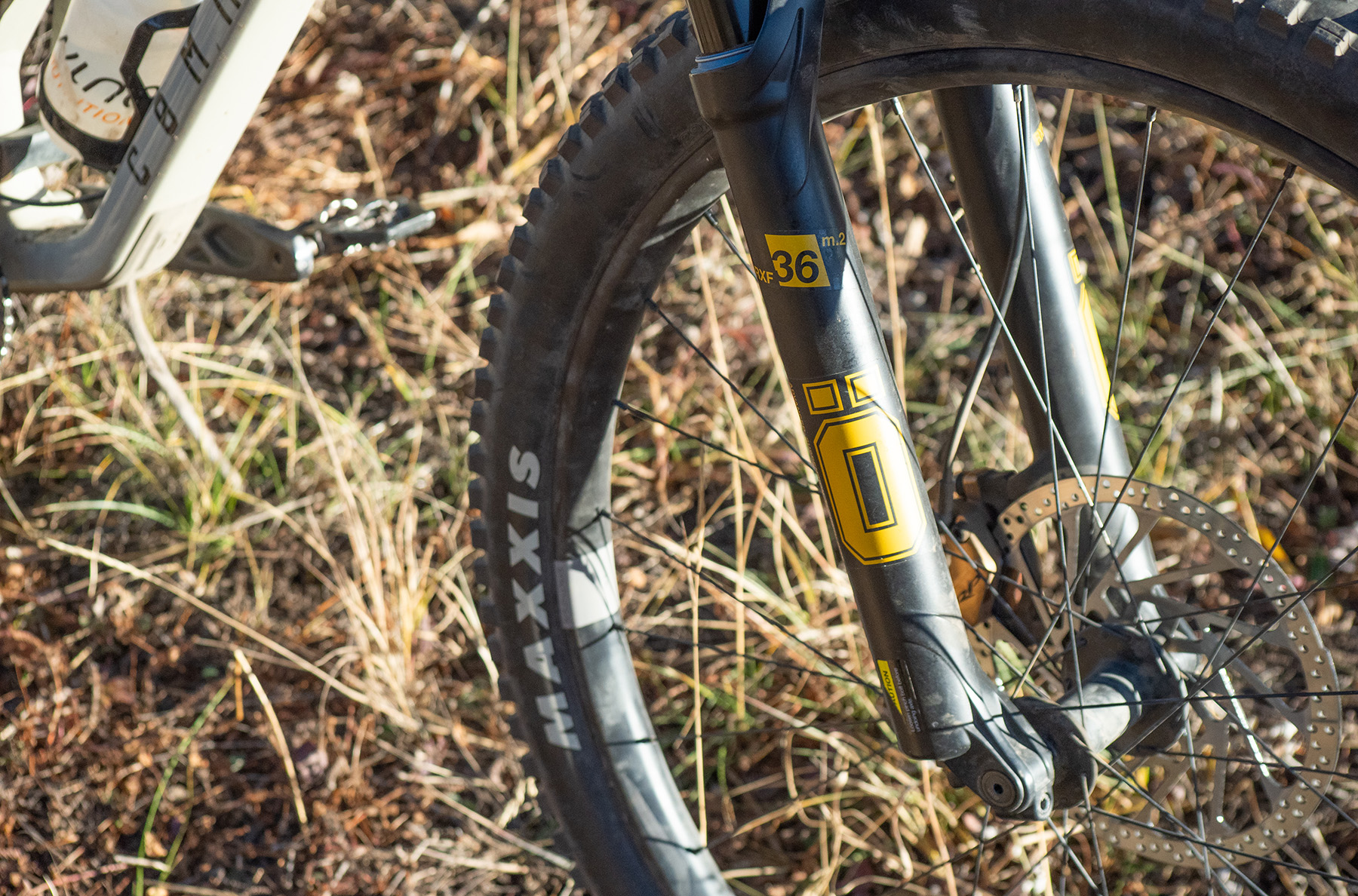 Simon Stewart and Dylan Wood review the Commencal T.E.M.P.O. for Blister