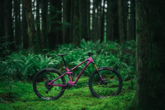 Transition store smuggler 29er