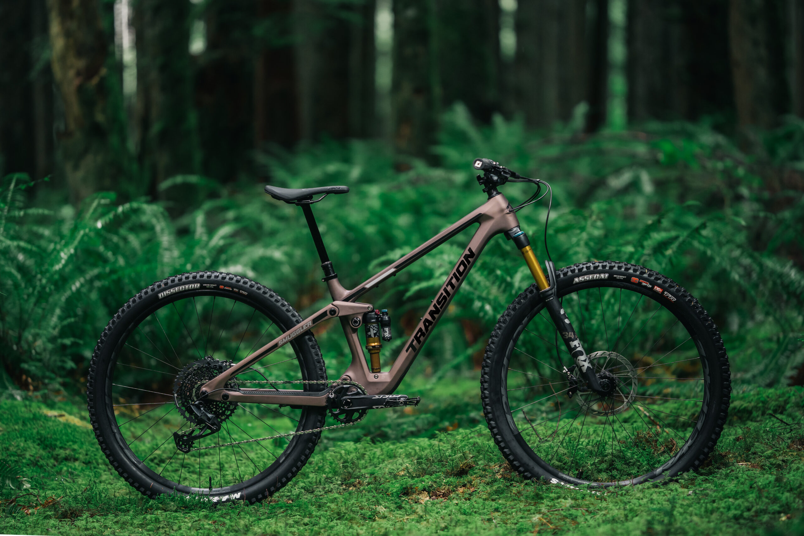 David Golay reviews the 2023 Transition Smuggler for Blister