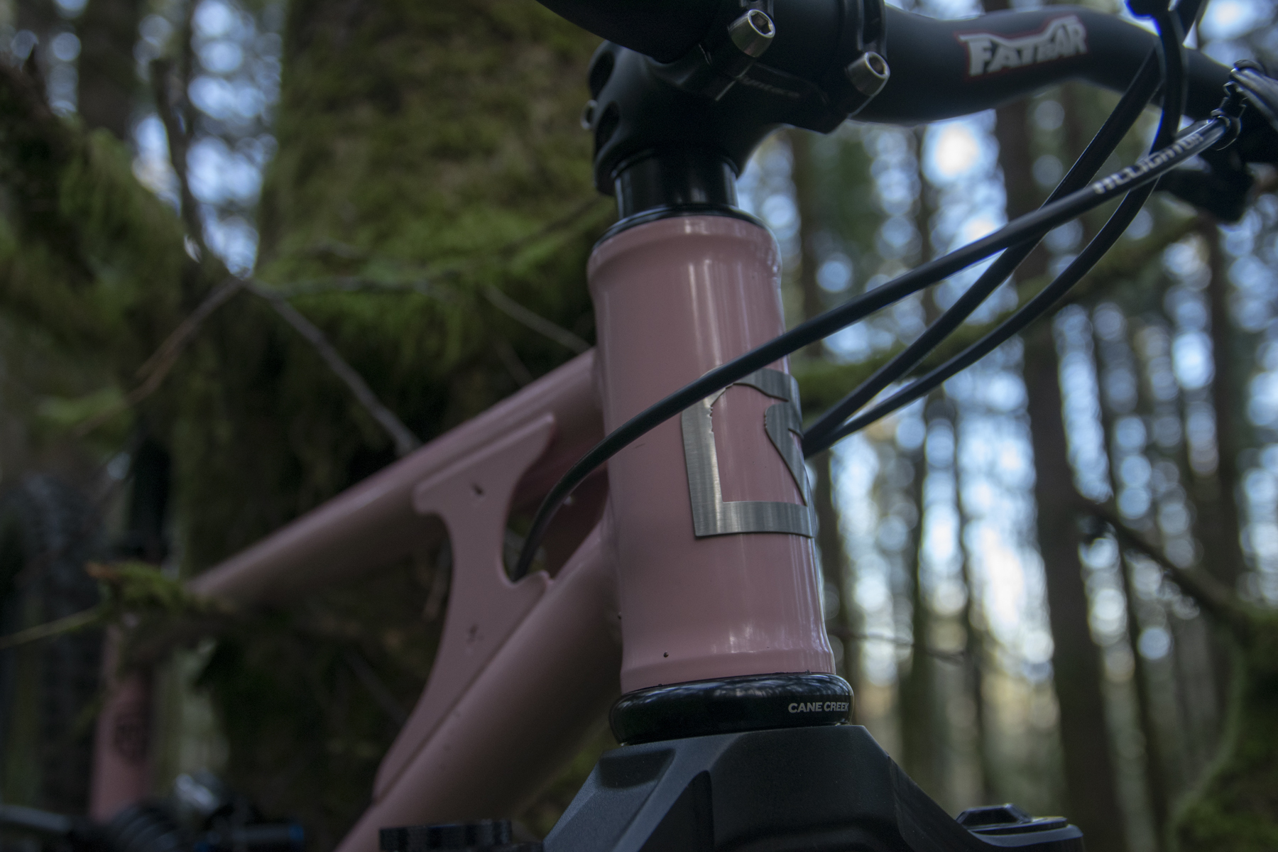 David Golay reviews the Starling Murmur Enduro for Blister