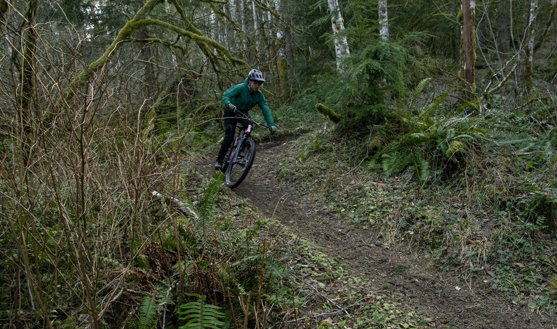 Starling Murmur Enduro | Blister