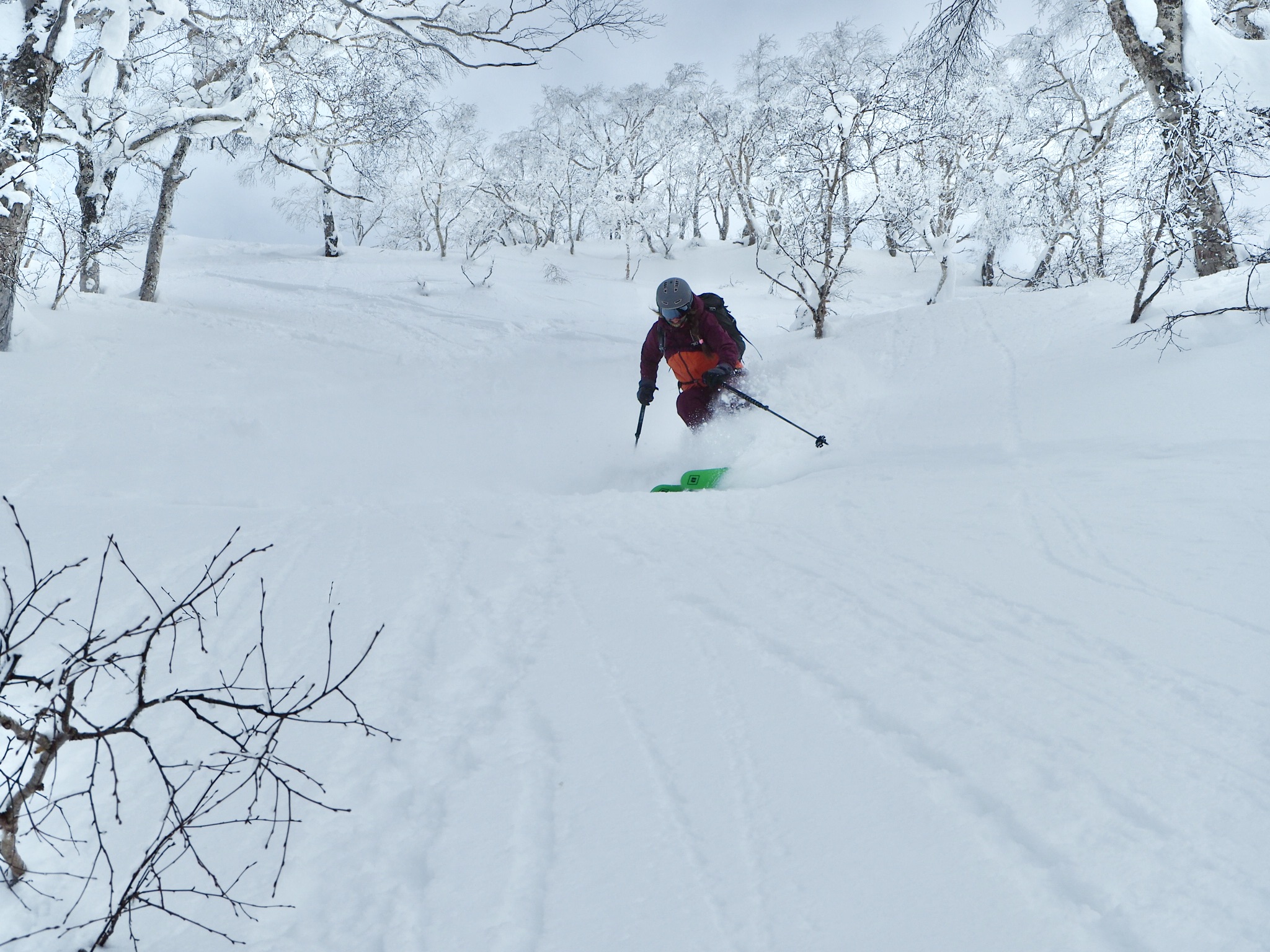 Kara Williard reviews the Salomon MTN Carbon S3 Ski Poles for BLISTER.