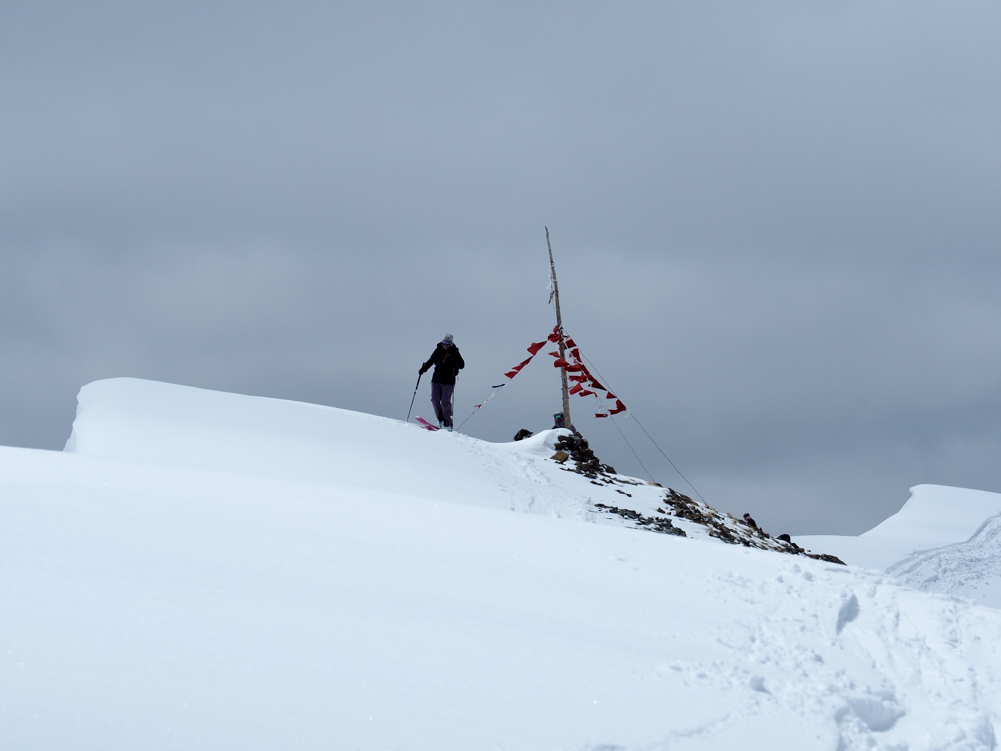 Kara Williard reviews the Salomon MTN Carbon S3 Ski Poles for BLISTER.
