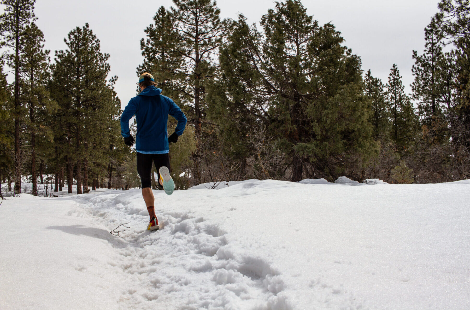 Road Trail Run: Salomon Sense Ride 5 Multi Tester Review: 8 Comparisons