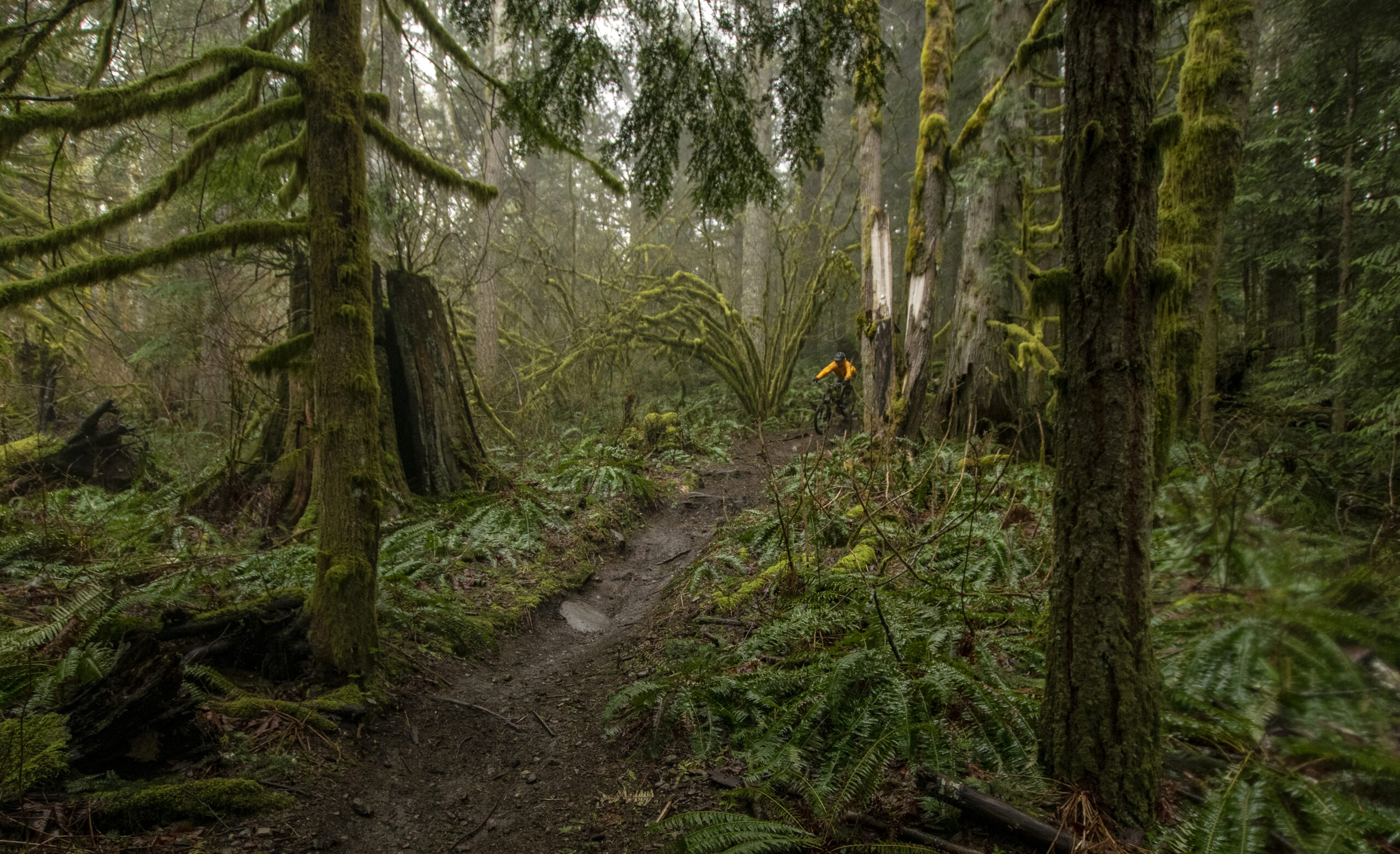 David Golay reviews the Chris King MTN30 wheels for Blister