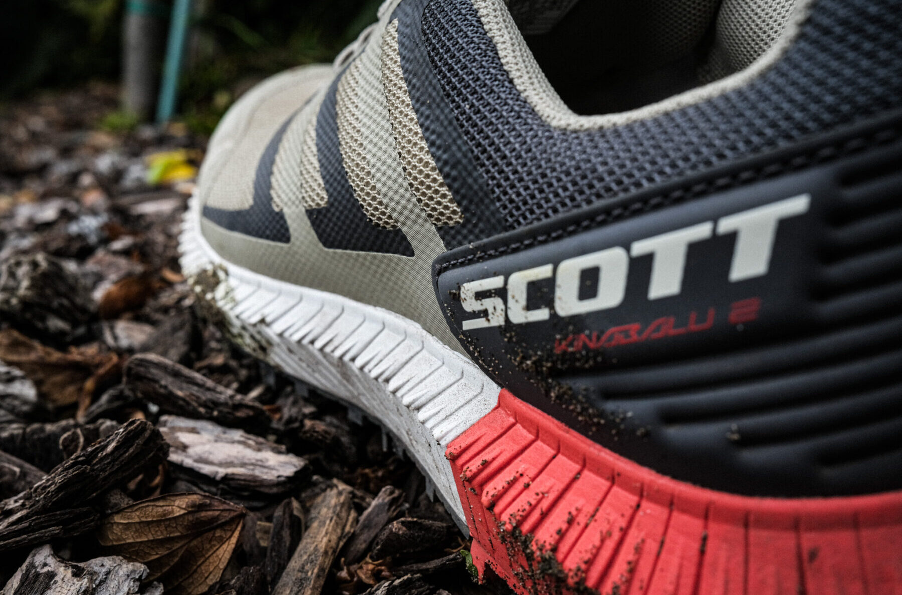 Scott Kinabalu 2, BLISTER