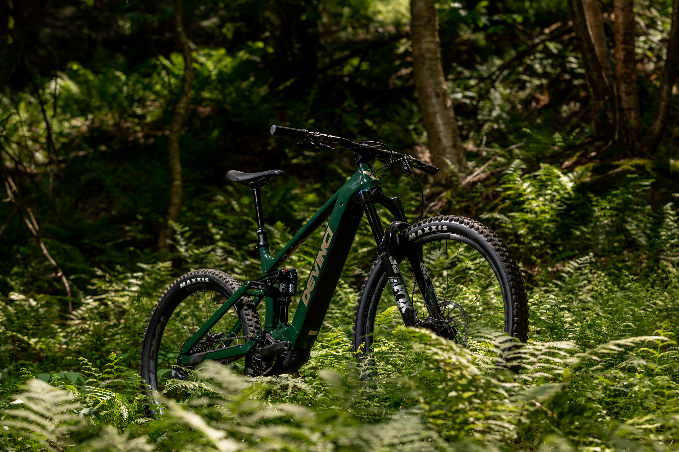 Simon Stewart reviews the Devinci E-Troy for Blister