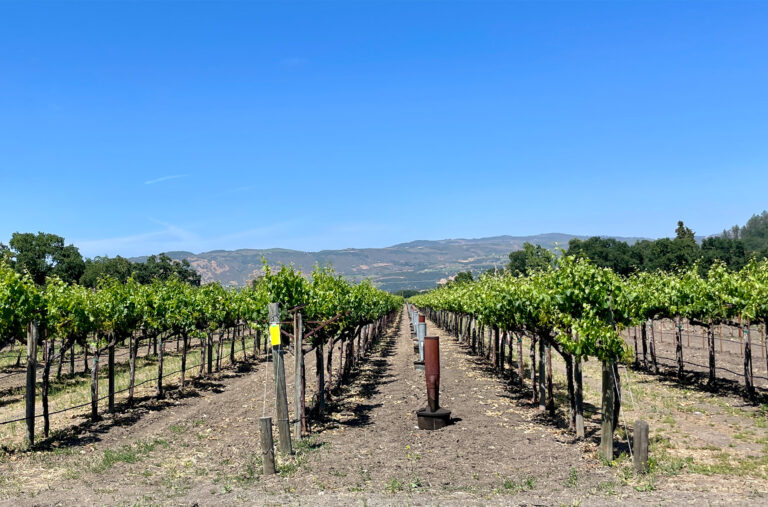 Today, Napa Valley is home to some of the most respected wineries and coveted wines being produced, but not too long ago, it was a sleepy farm community. So how did that transformation happen? On our latest CRAFTED podcast, Jonathan talks with Marilyn Harris of Paradigm Winery about how Napa … became Napa. Marilyn and her husband, Ren, own Paradigm Winery in Oakville, CA, and they’ve had a front-row seat — and played a first-hand role — in the evolution of Napa Valley.