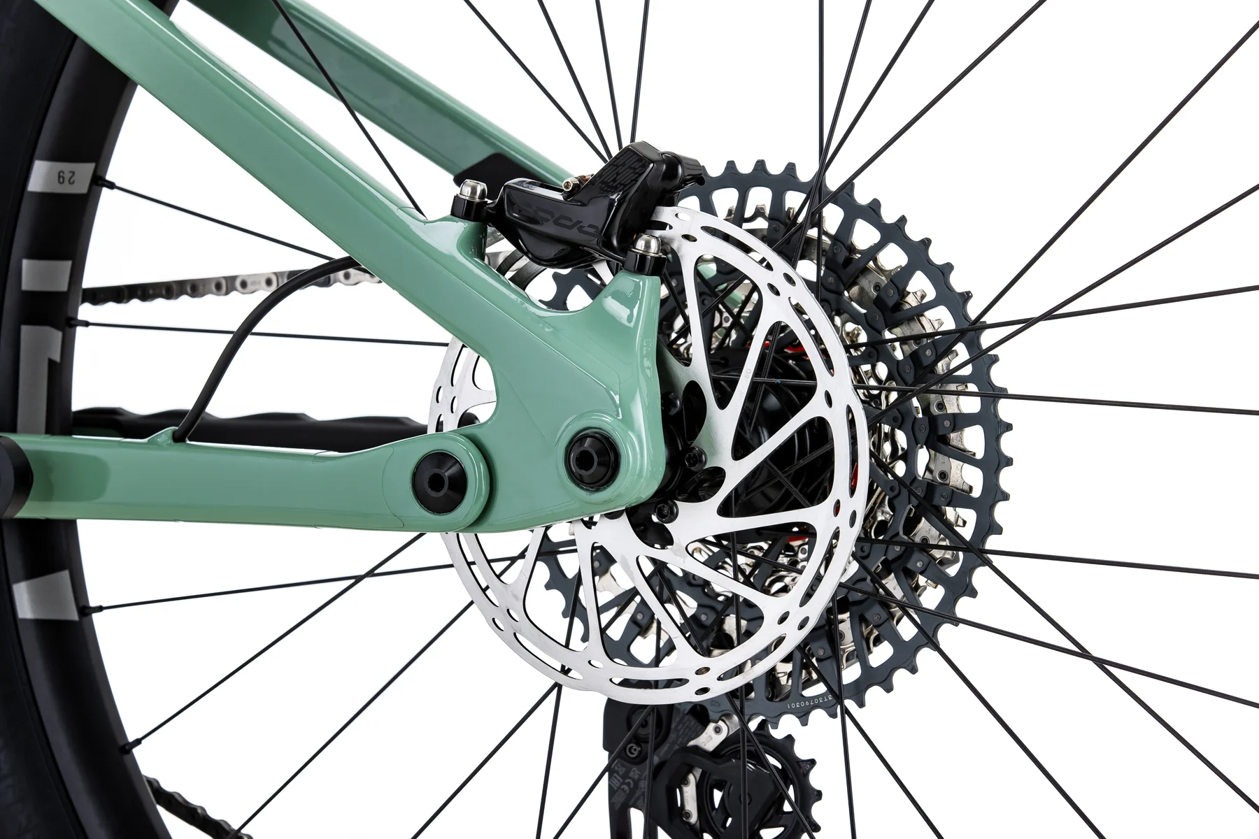 Noah Bodman reviews the Vitus Escarpe for Blister