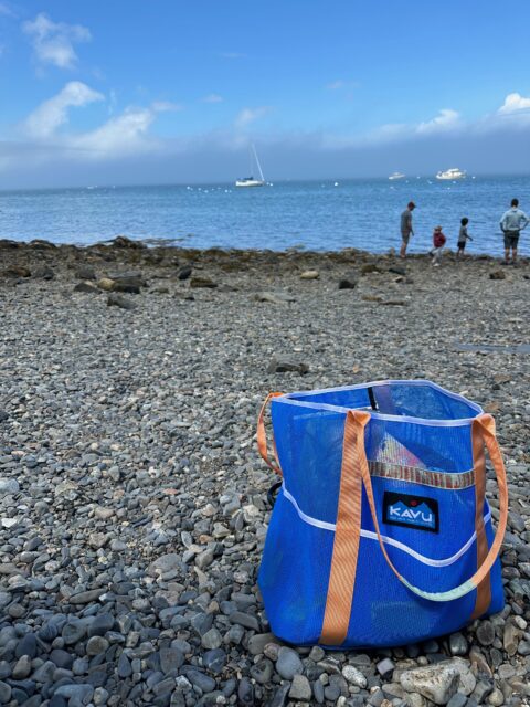 Kristin Sinnott reviews the KAVU Alder Lake Tote for BLISTER.