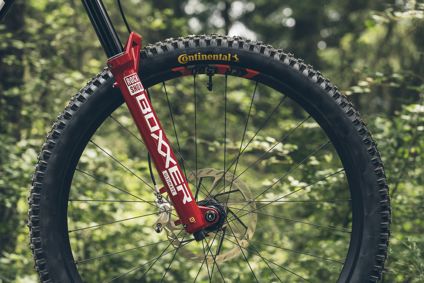 2024 RockShox BoXXer | Blister