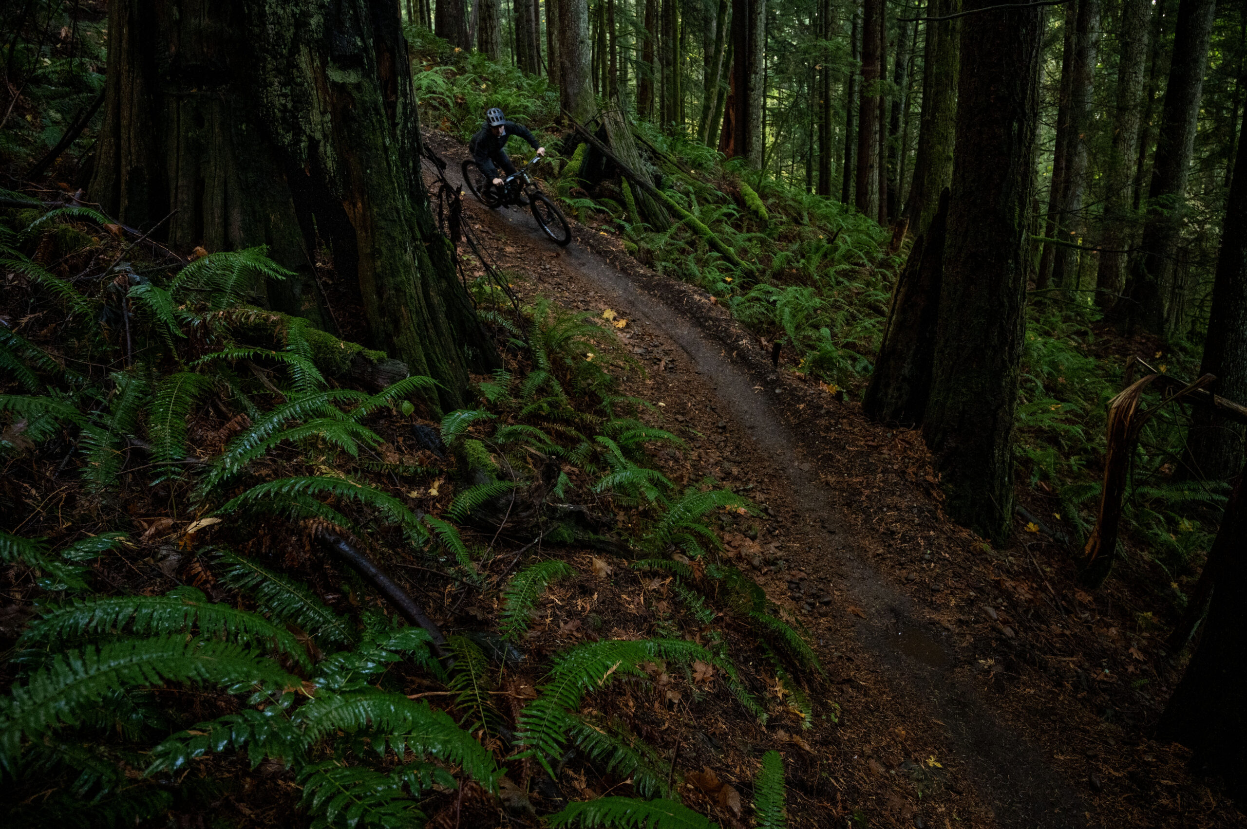 David Golay reviews the Enve AM30 wheels for Blister