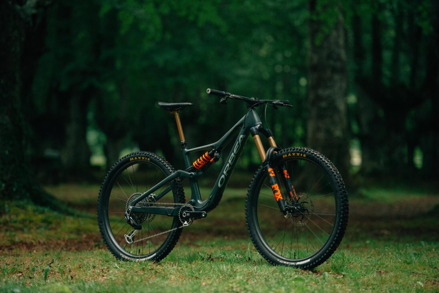  2024 Orbea Rallon 