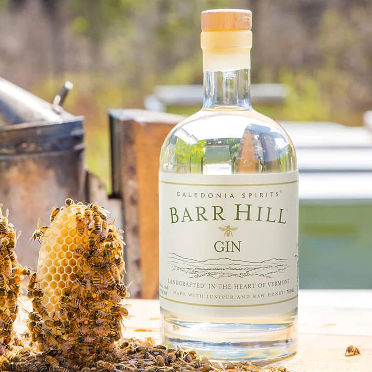 Barr Hill Gin