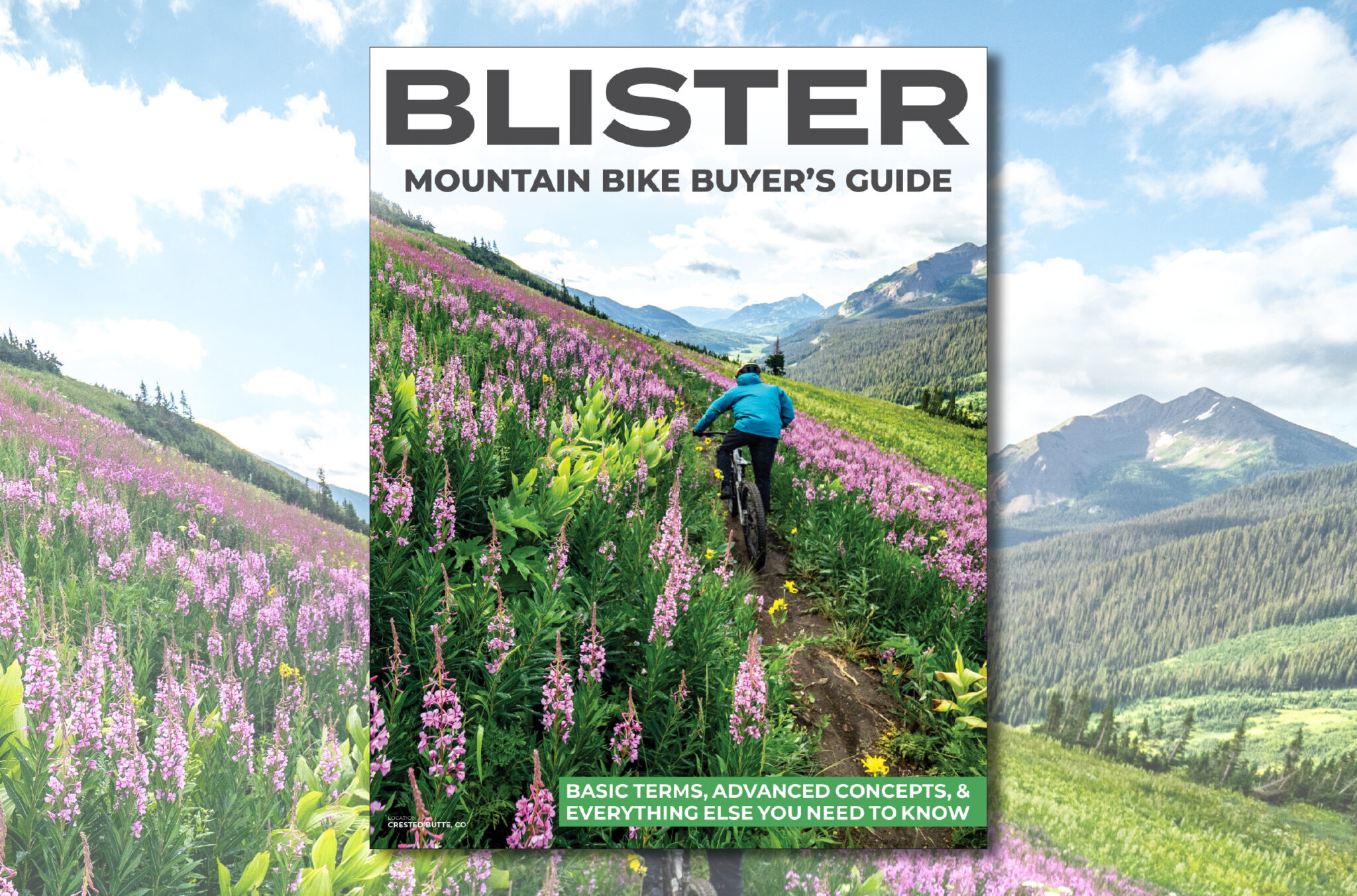 BLISTER Mountain Bike Buyer's Guide How to Buy a Mountain Bike