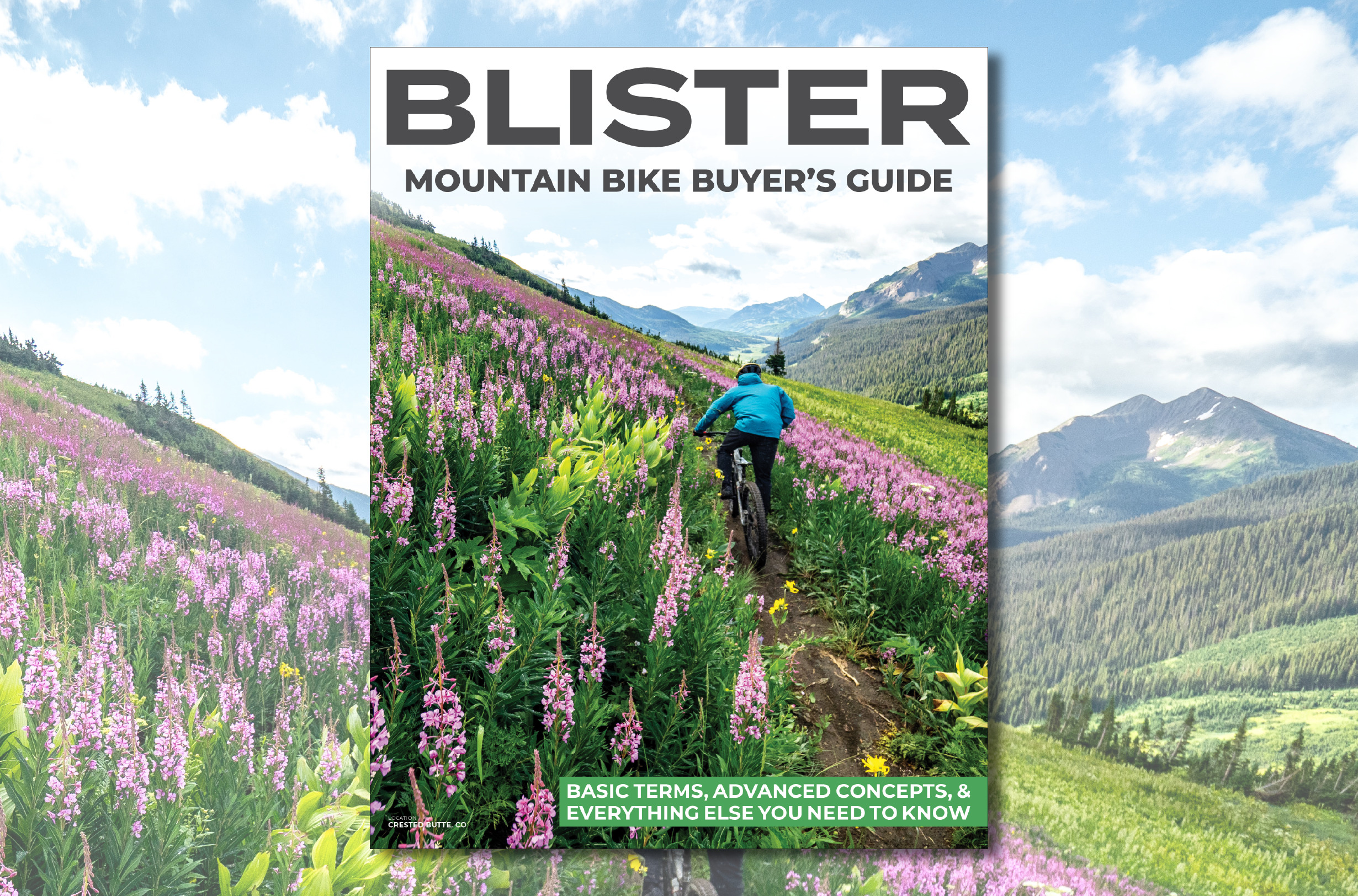 Buy a Mountain Bike, MTB Buying Guide