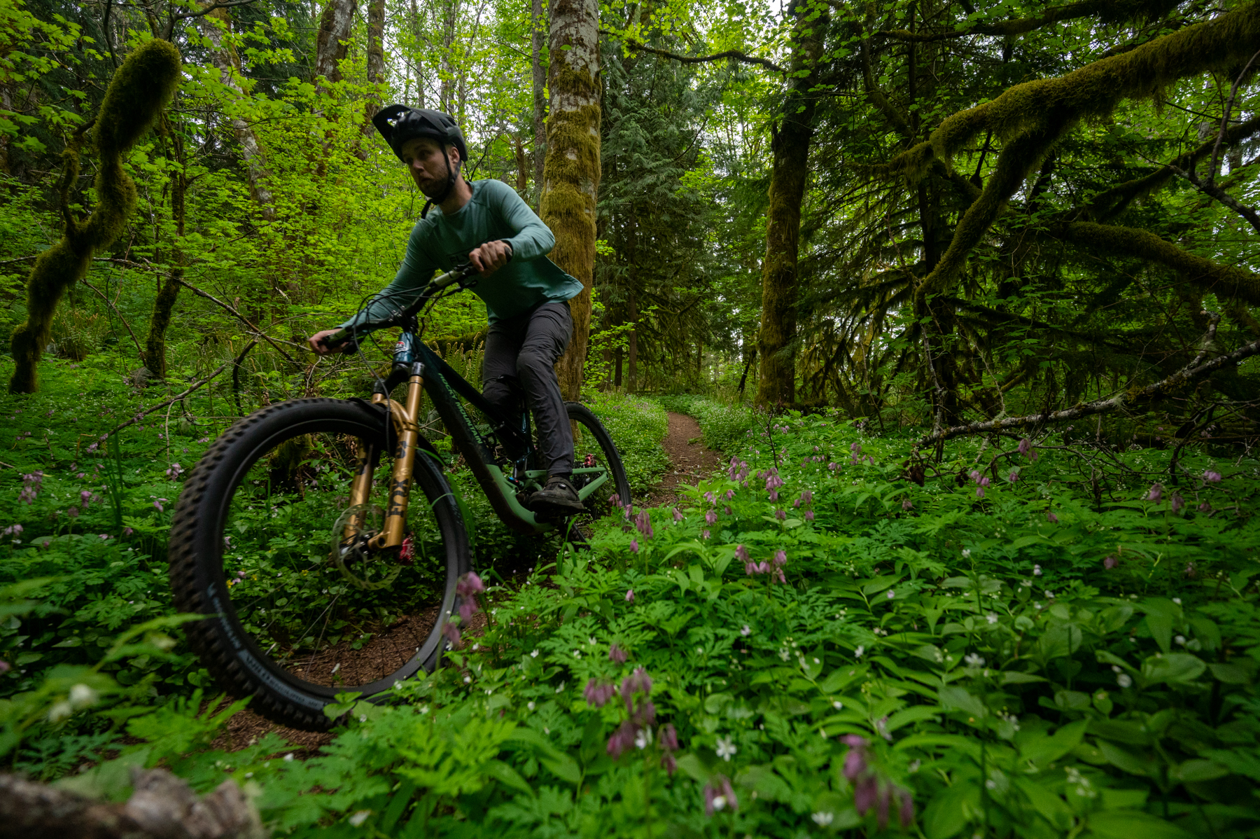 David Golay reviews the SRAM Maven Brakes for Blister