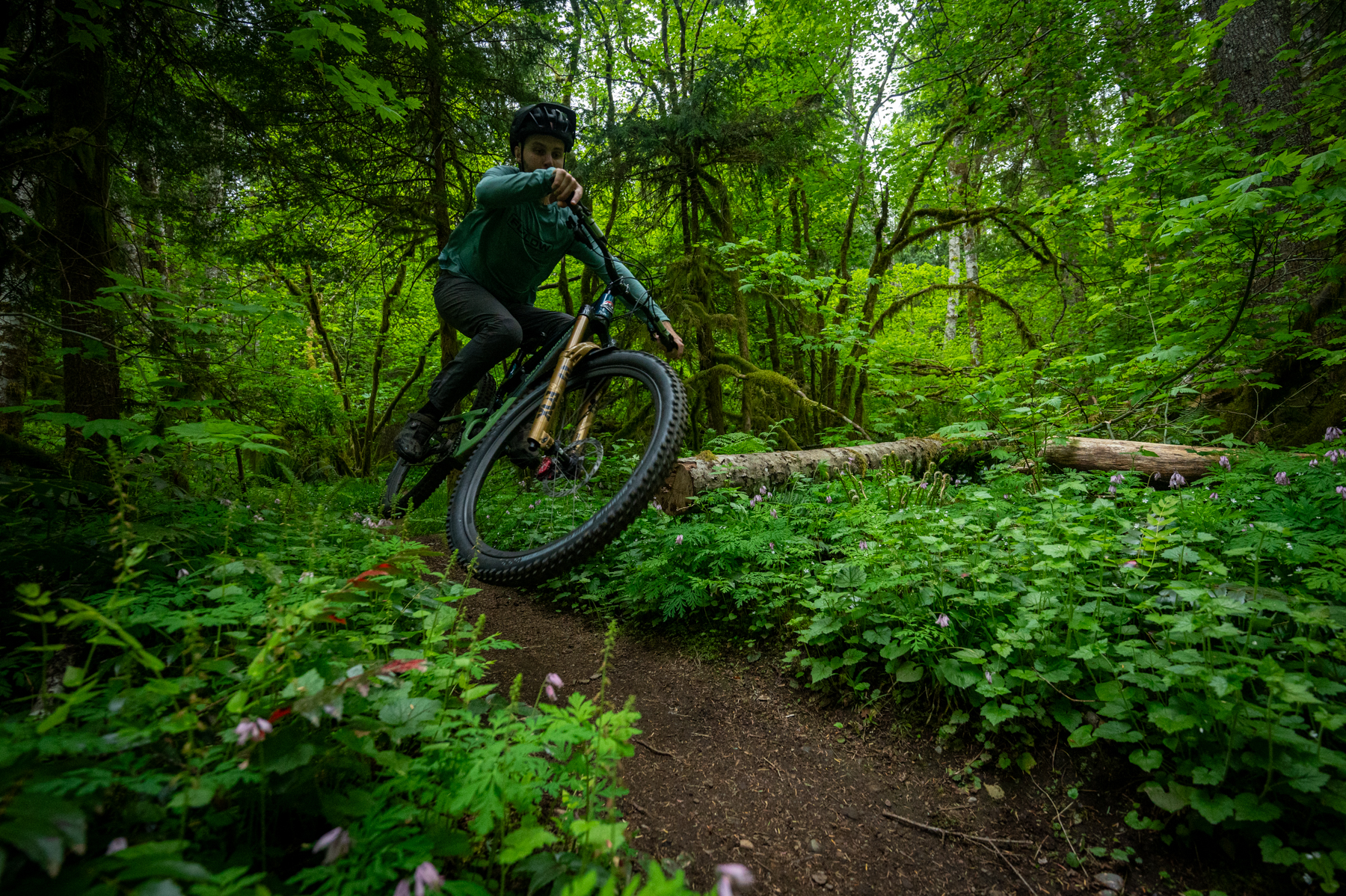 David Golay reviews the SRAM Maven Brakes for Blister